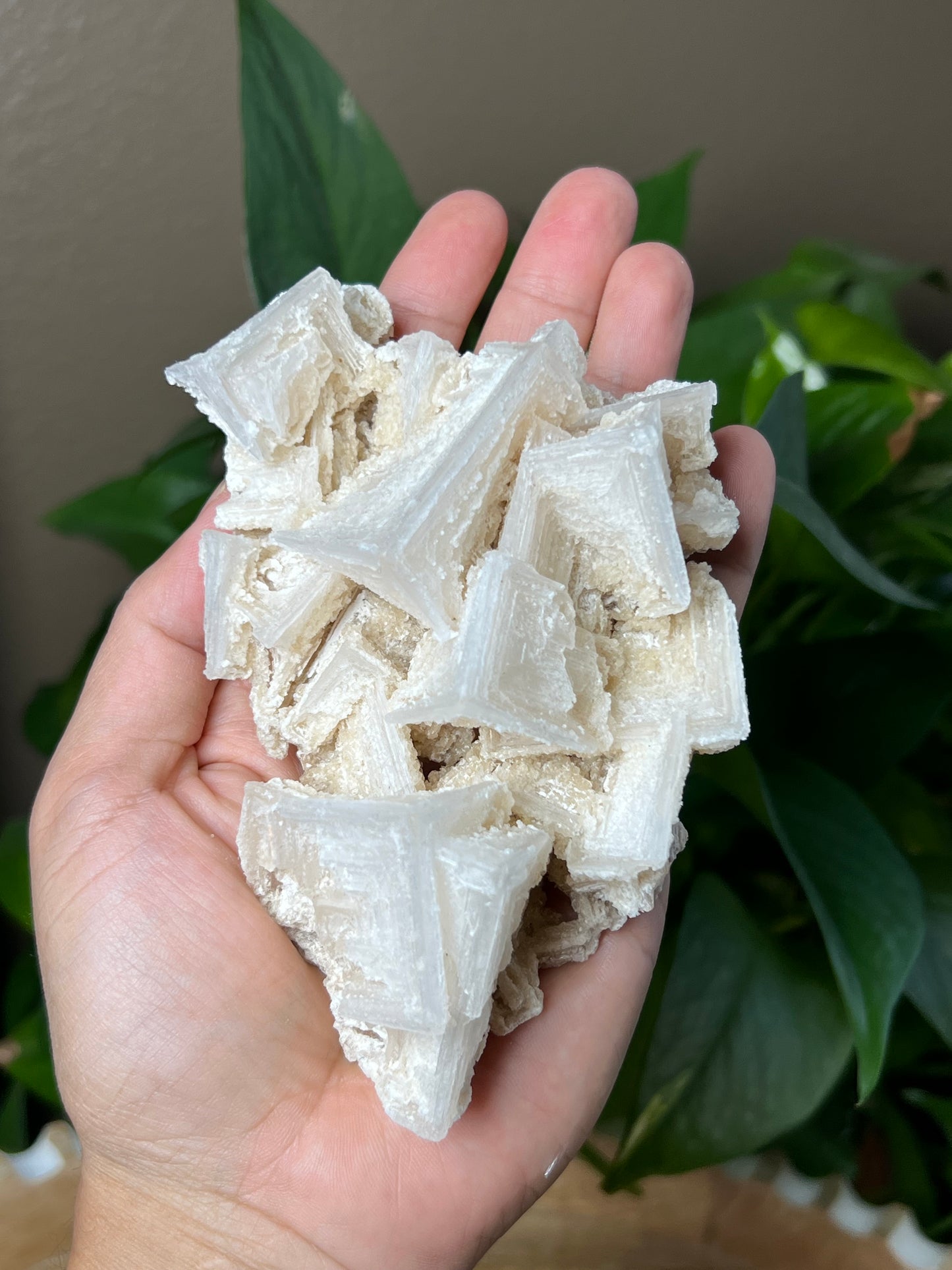Halite on Trona
