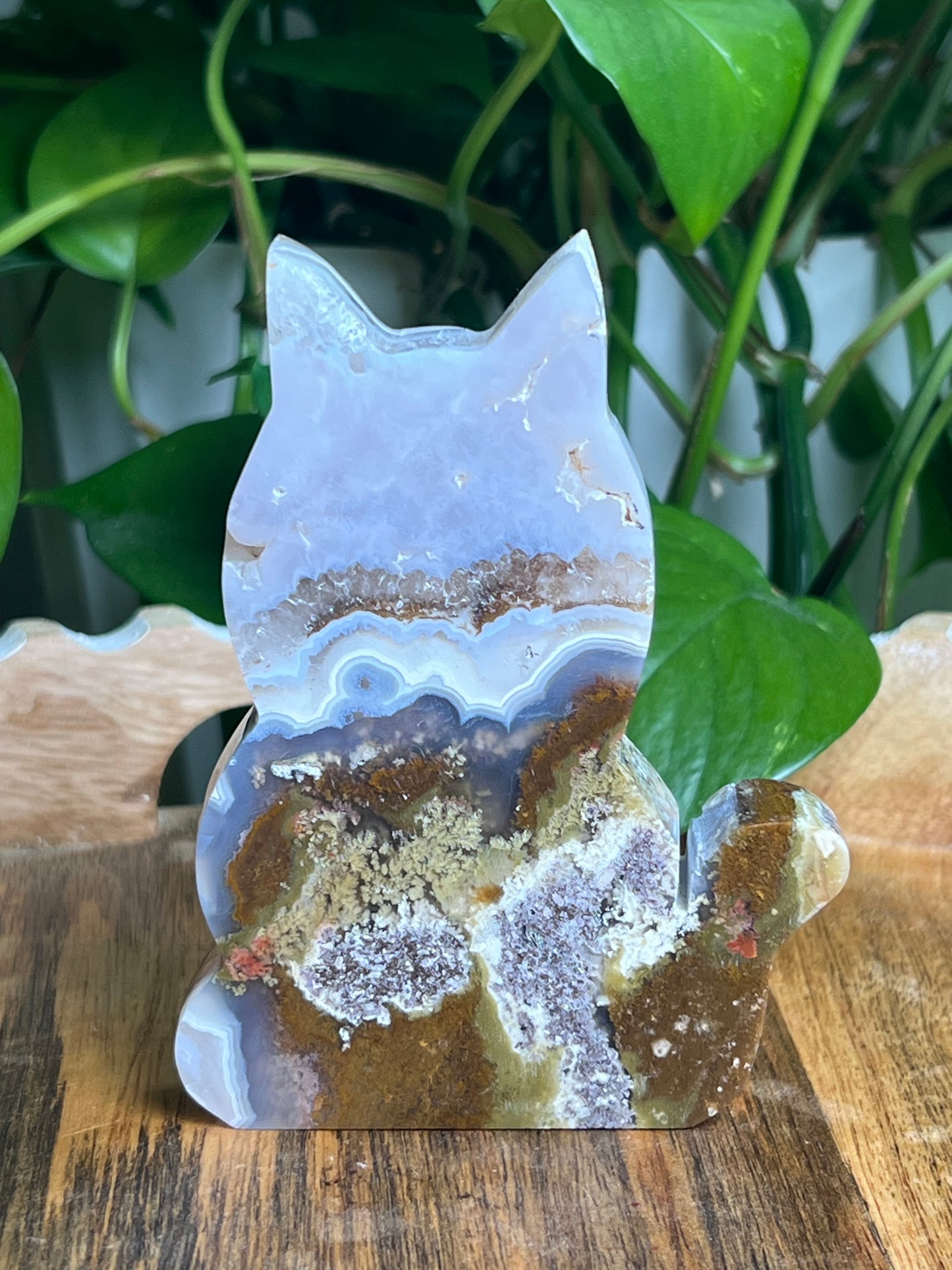 Scenic Moss Agate Cat: AD