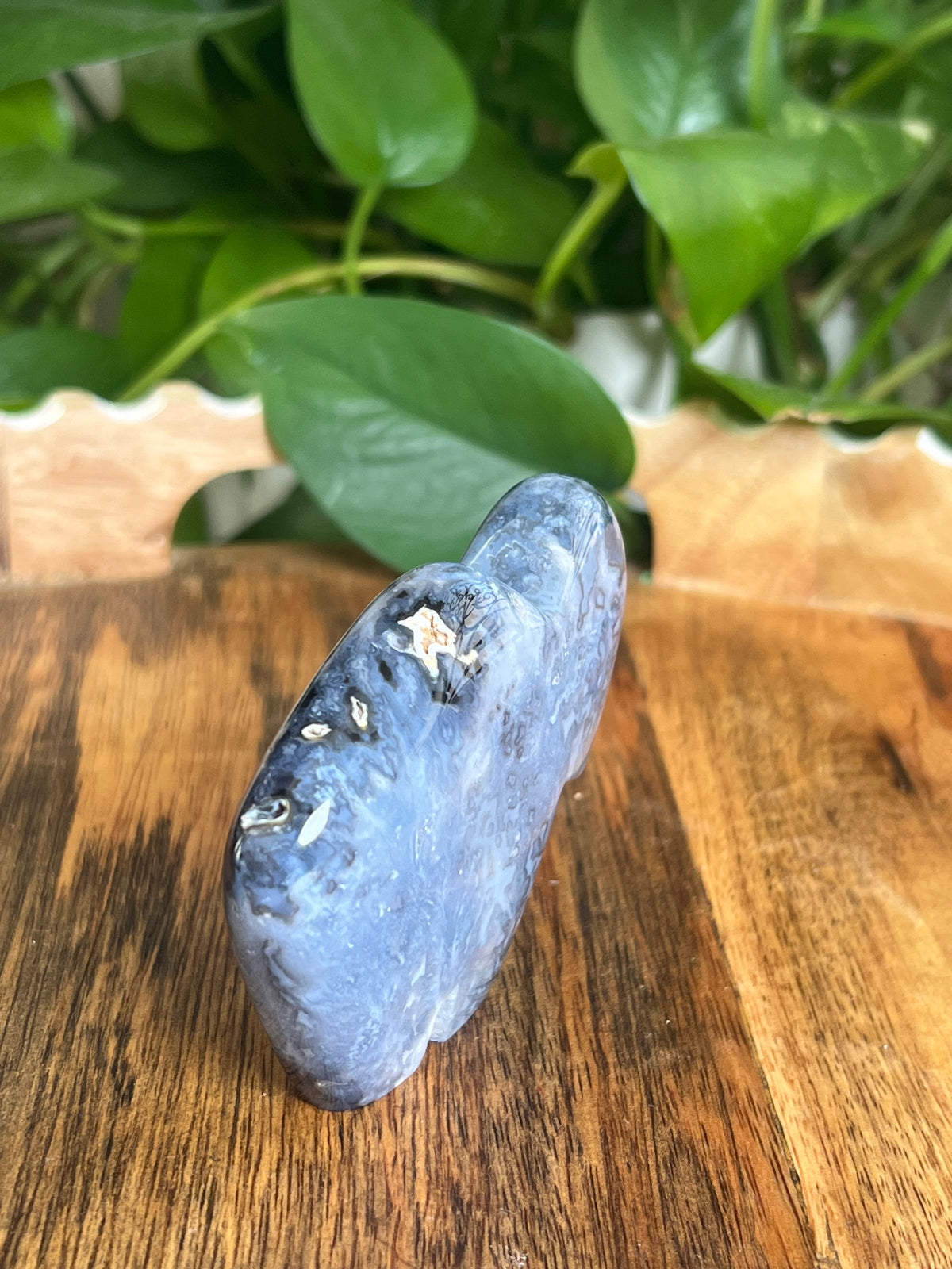 Blue Plume Agate Buffalo: PB