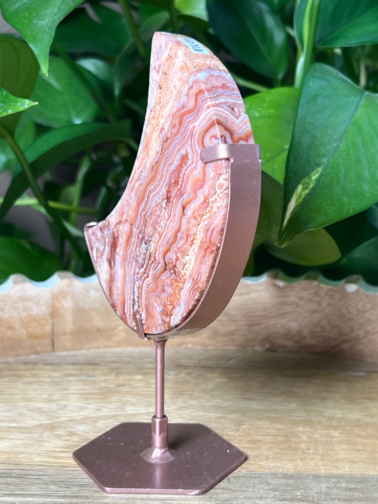 Crazy Lace Agate Moon