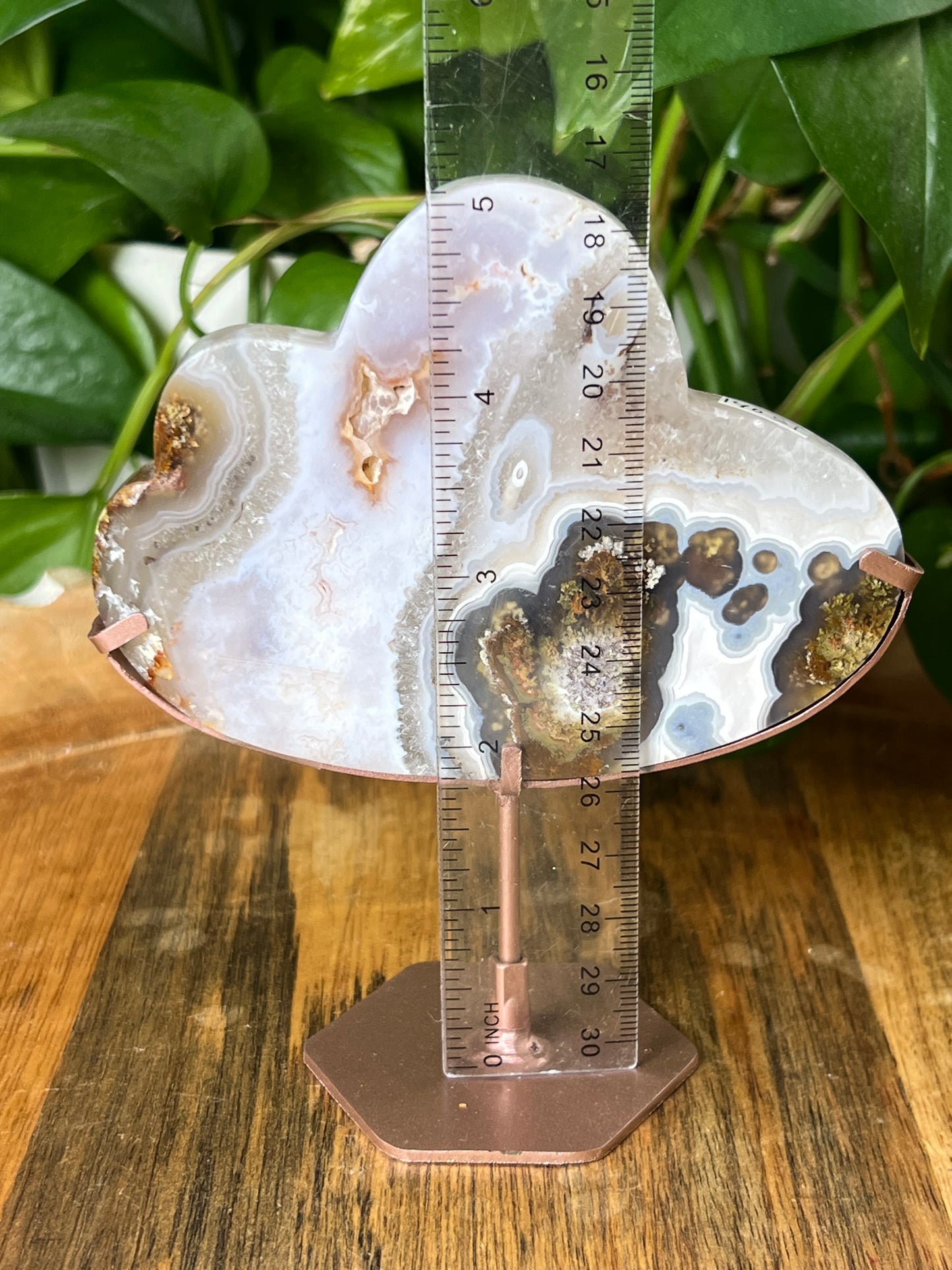 Scenic Moss Agate Cloud