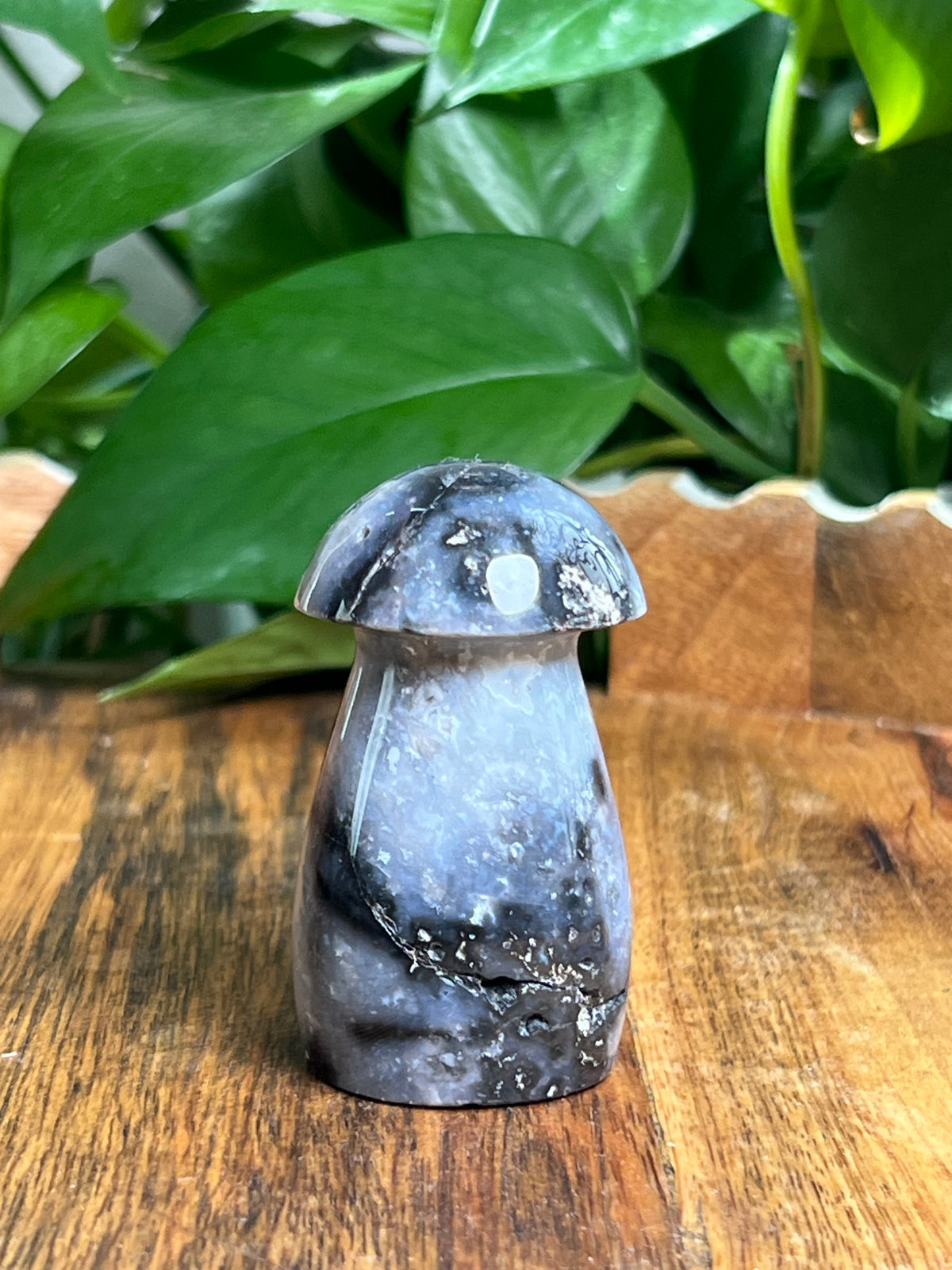 Blue Plume Agate Mushroom: EK