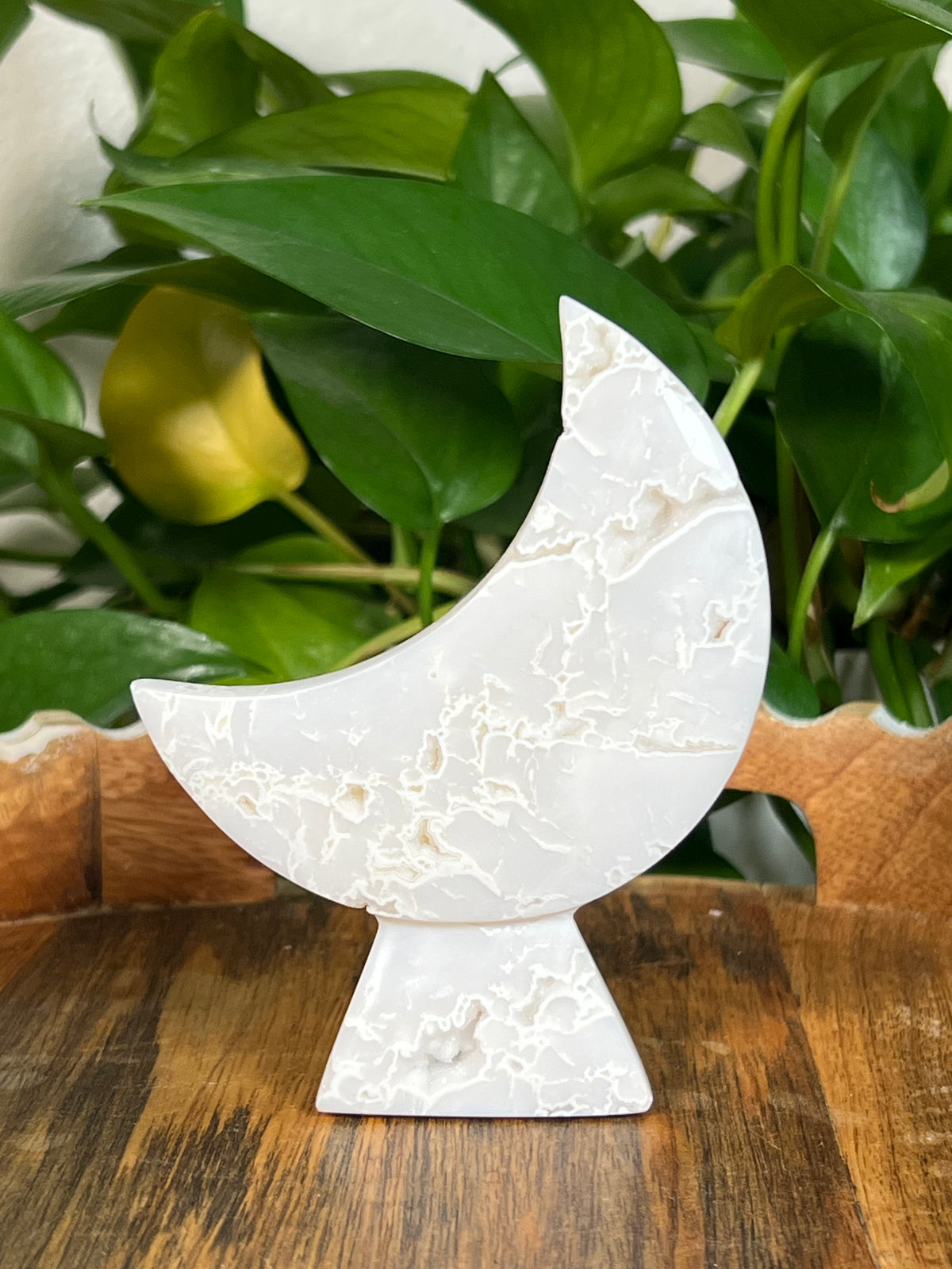 White Plume Agate Self Standing Moons