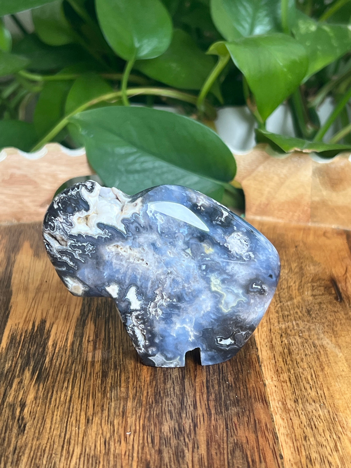 Blue Plume Agate Buffalo: BE