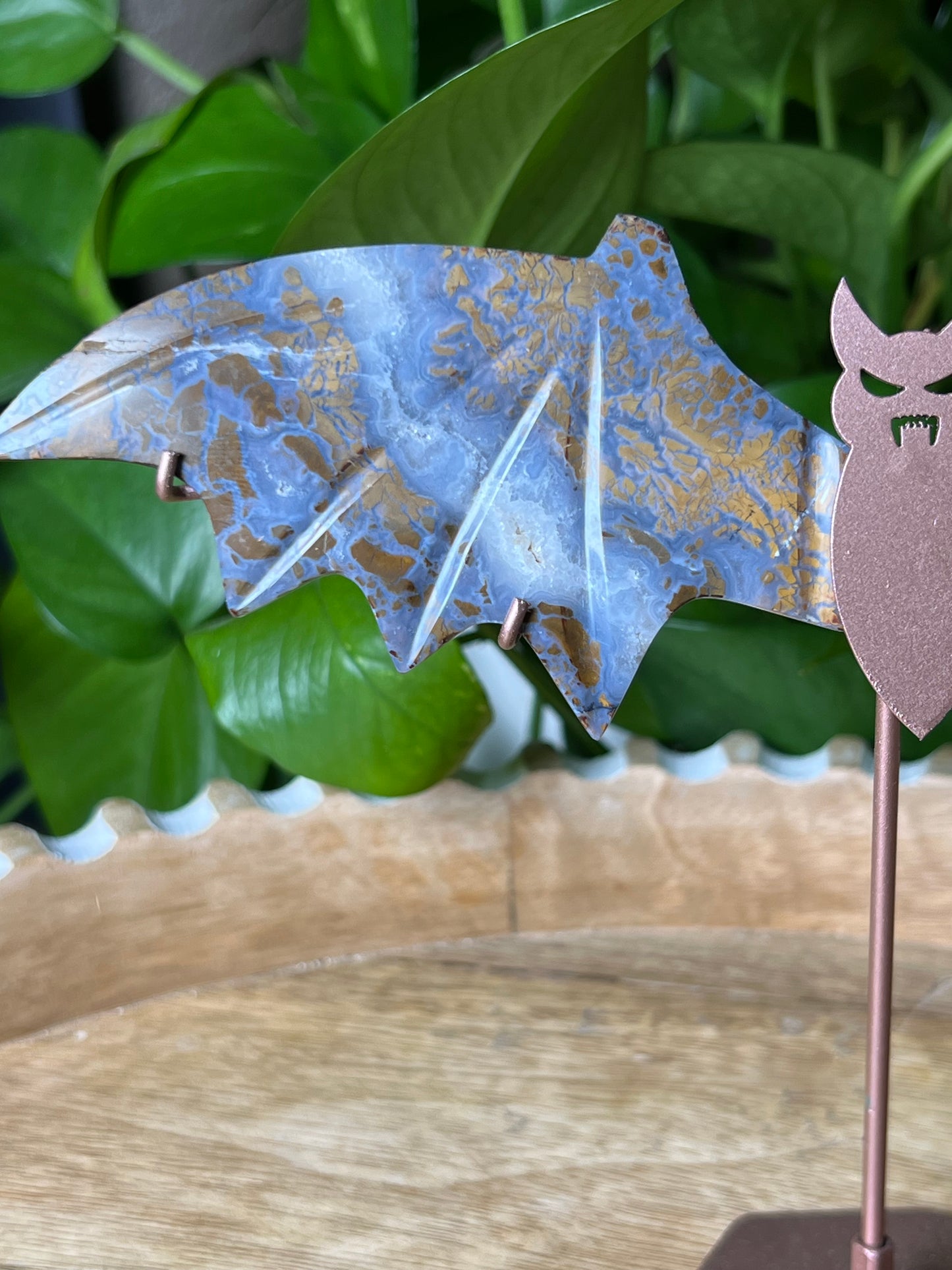Brecciated Jasper Bat Wings