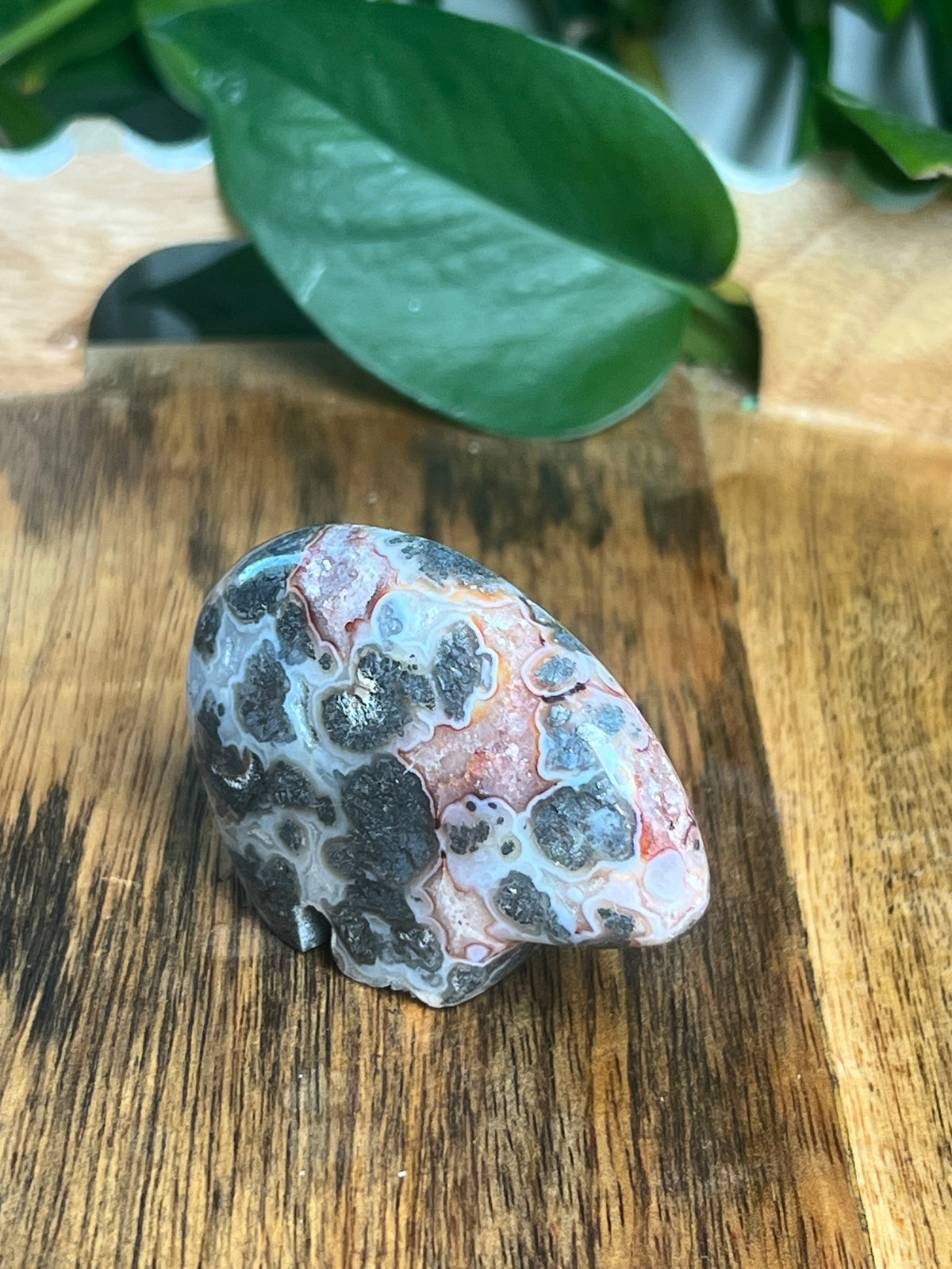 Marcasite Bear: BA