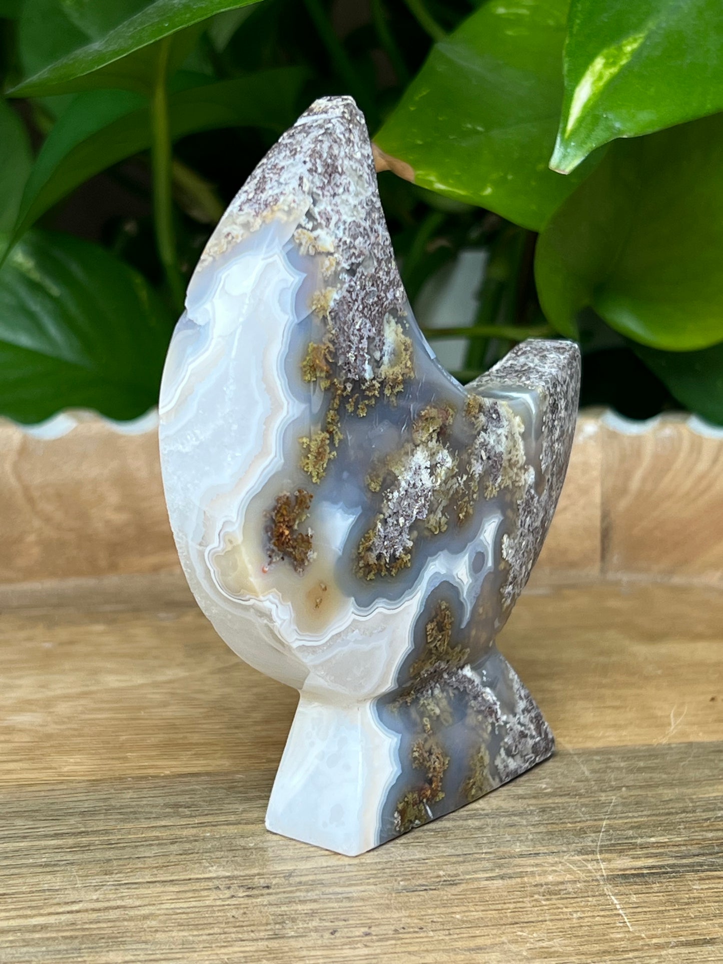Scenic Moss Agate Moon Stand: XE