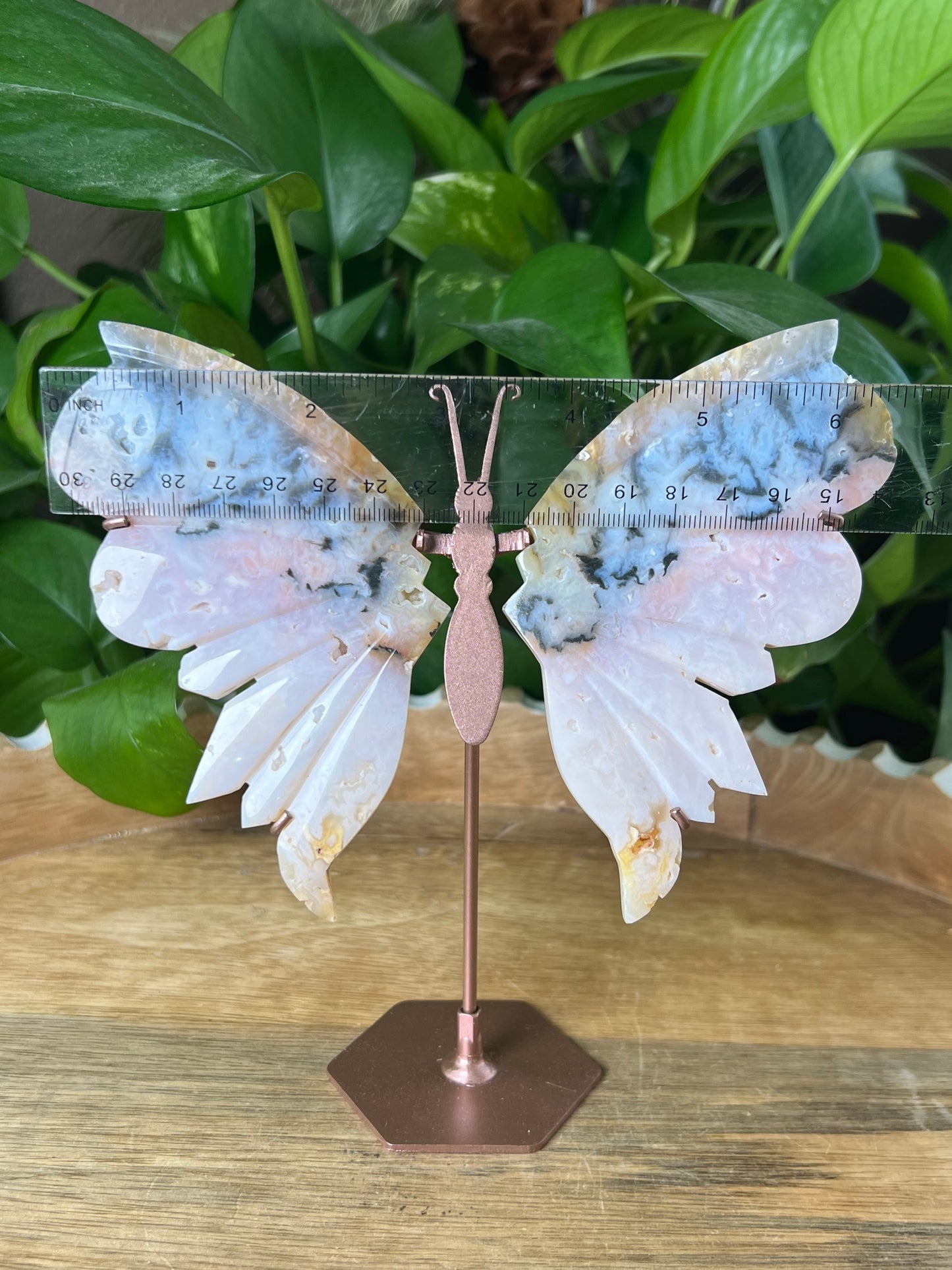 Rainbow Plume Agate Wings