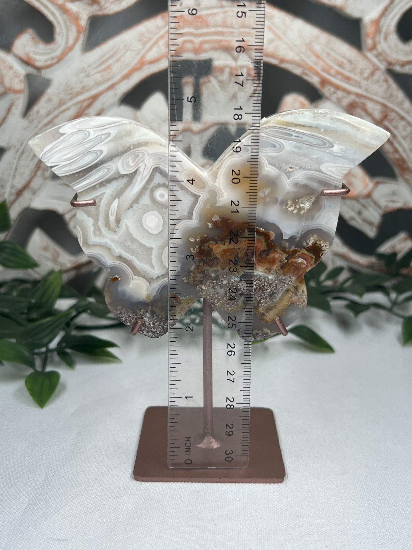 Scenic Moss Agate Butterfly
