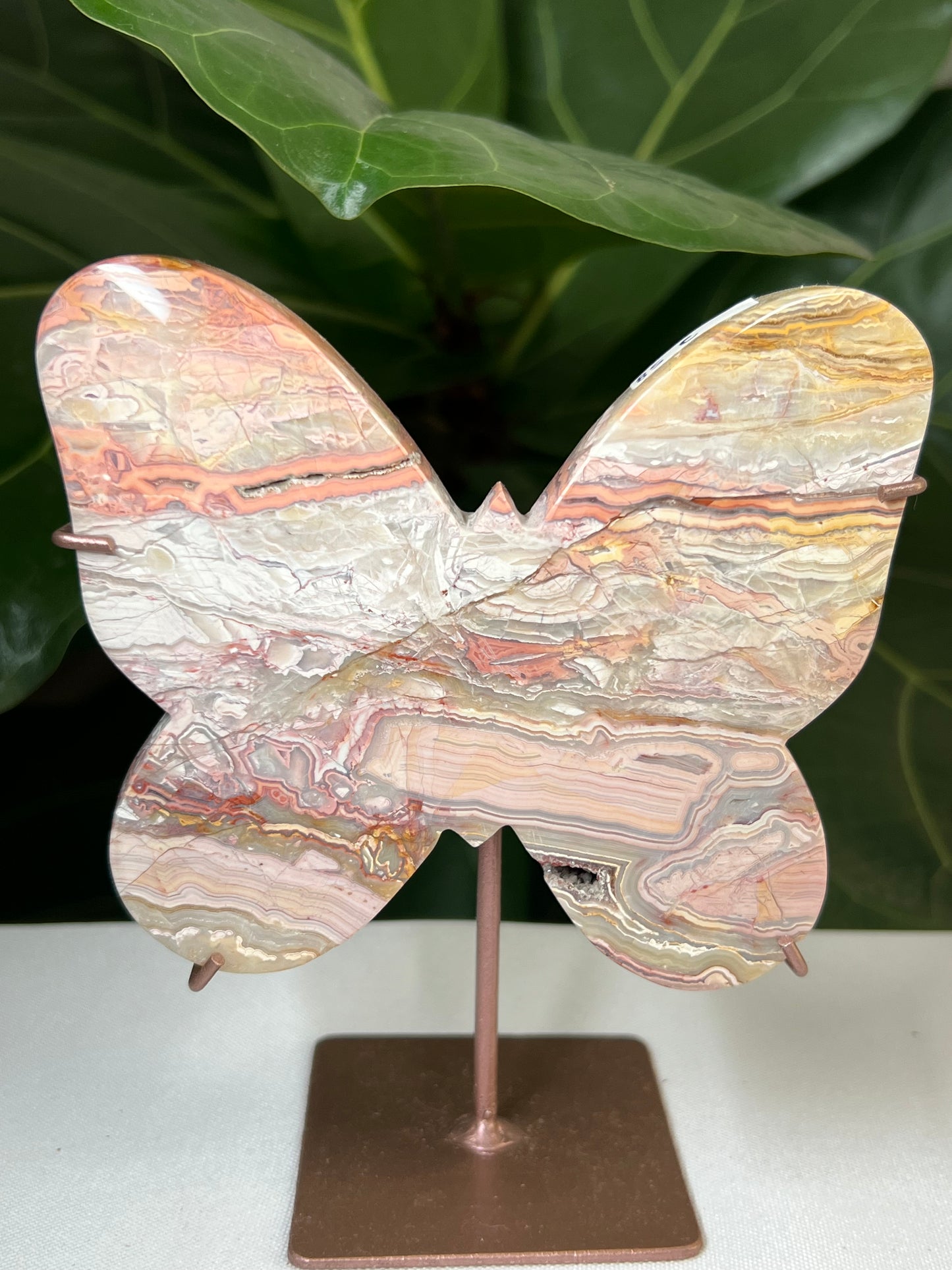 Crazy Lace Agate Butterfly
