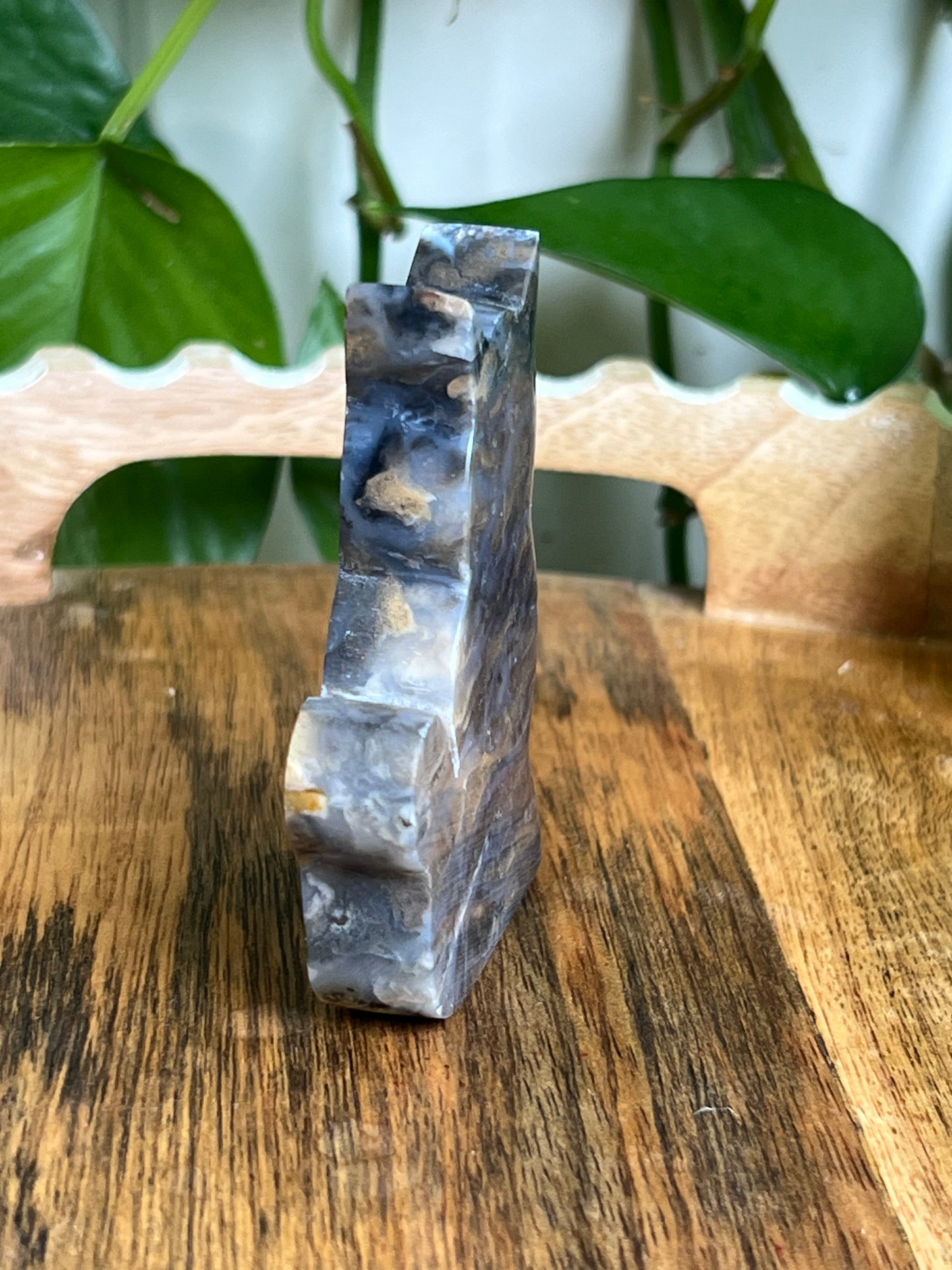 Dendritic Tiger Agate Cat AH