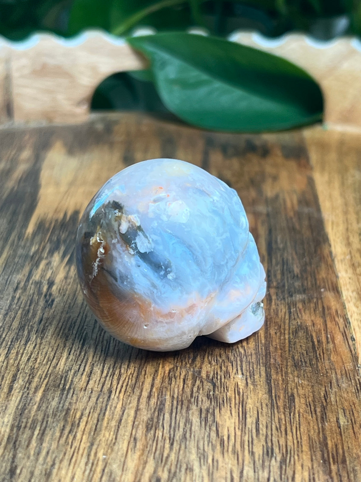 Rainbow Plume Agate Mini Skull: DL