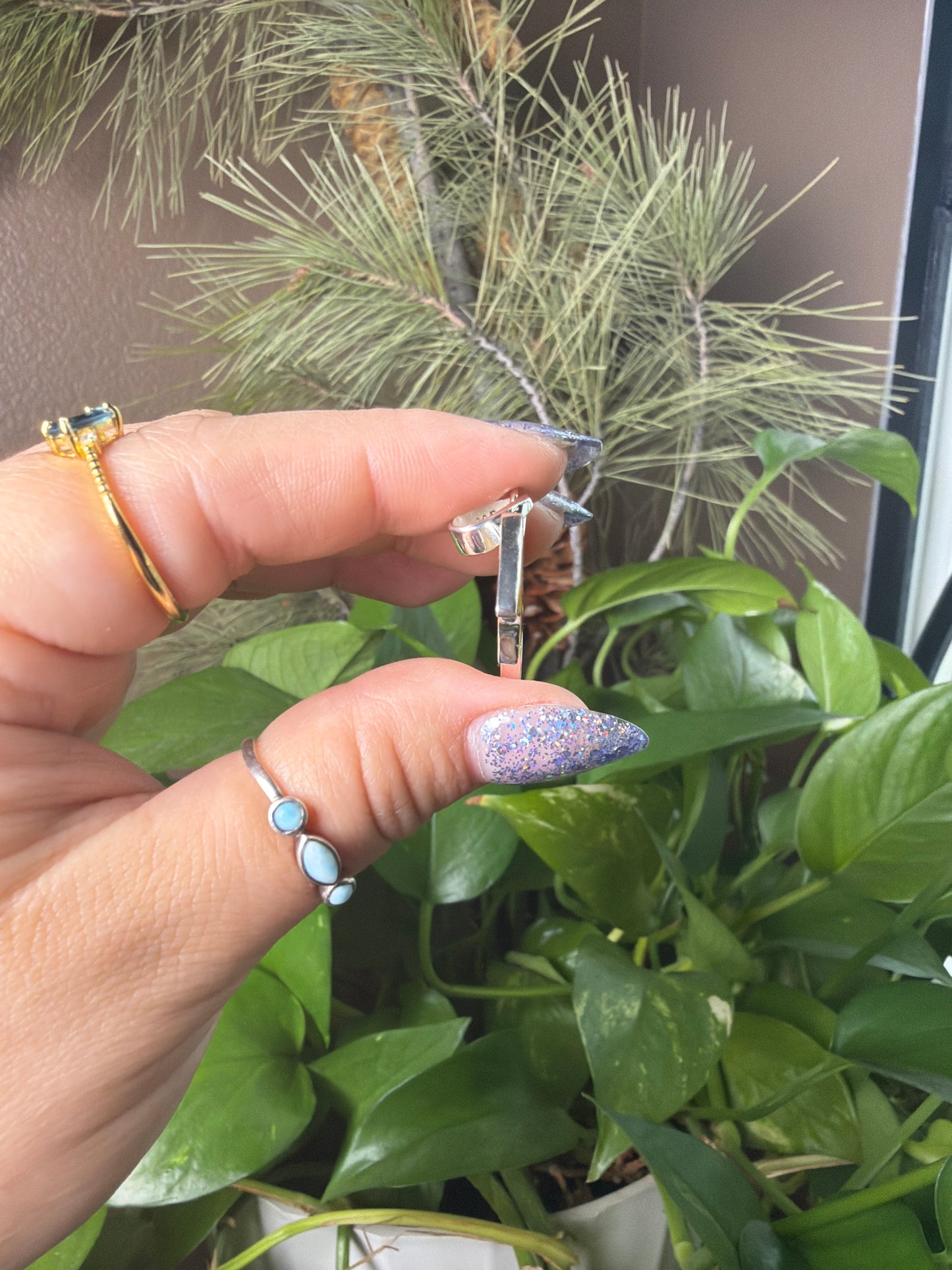 Iris Agate Bat Necklace