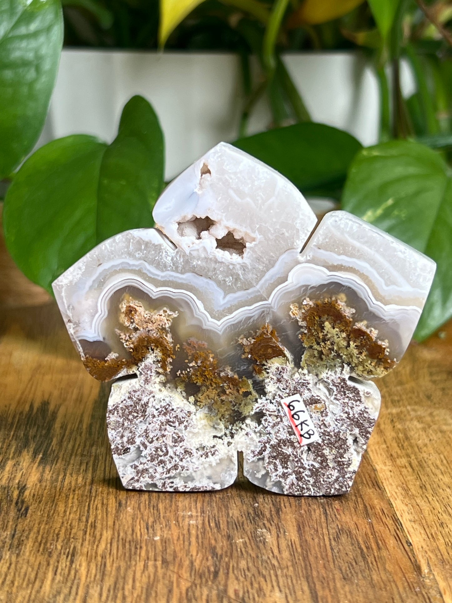 Scenic Moss Agate Flower KB