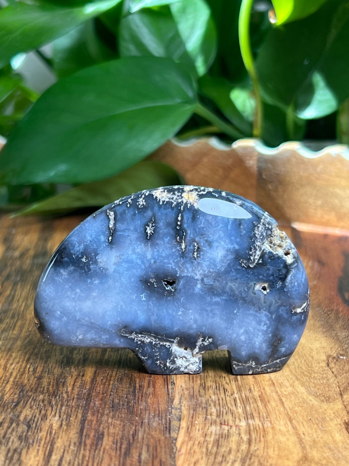 Blue Plume Agate Bear: DC