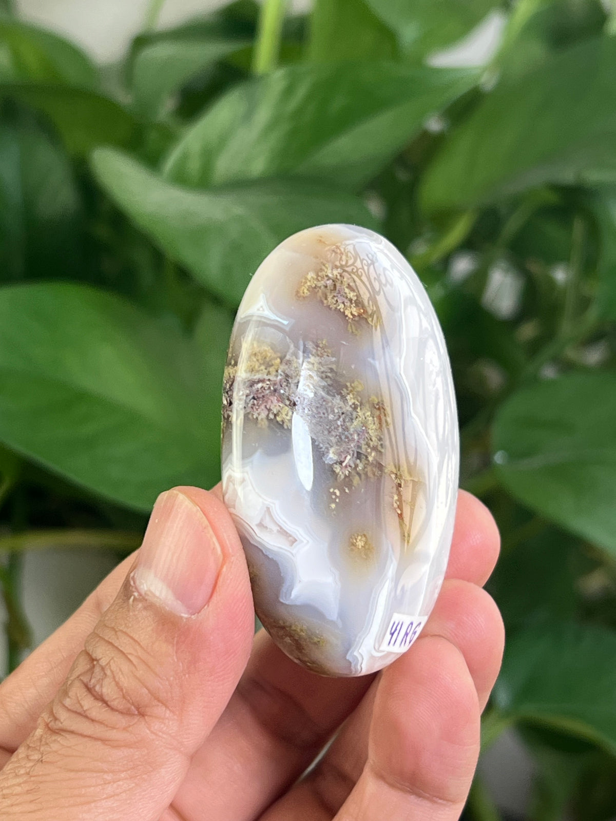 Scenic Moss Agate Palmstone: RG