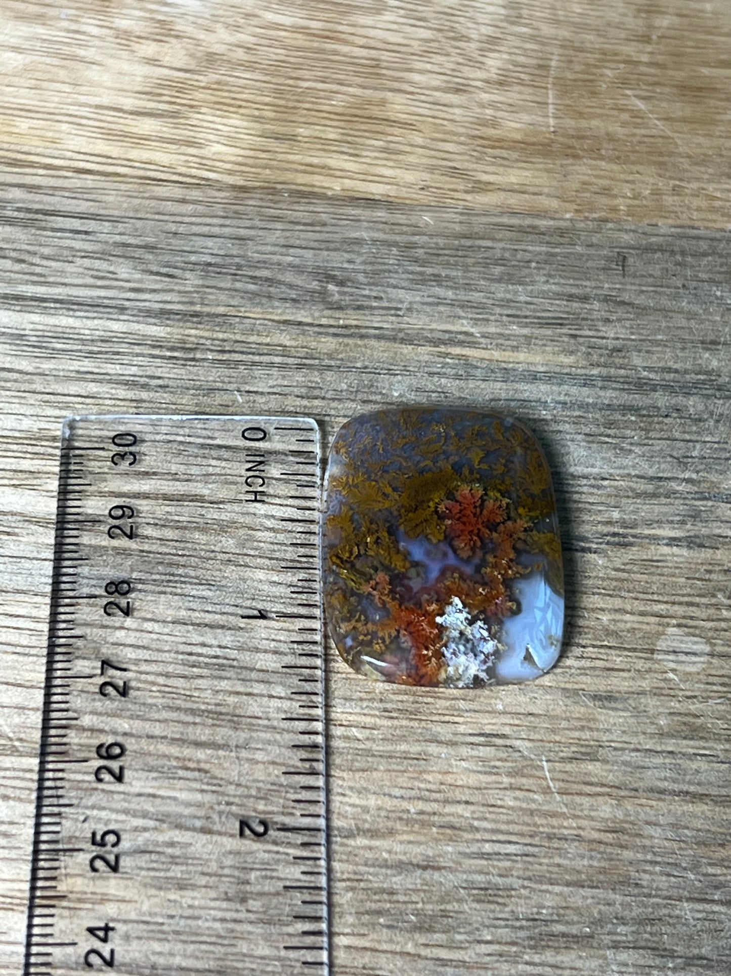 Scenic Moss Agate Cabochon