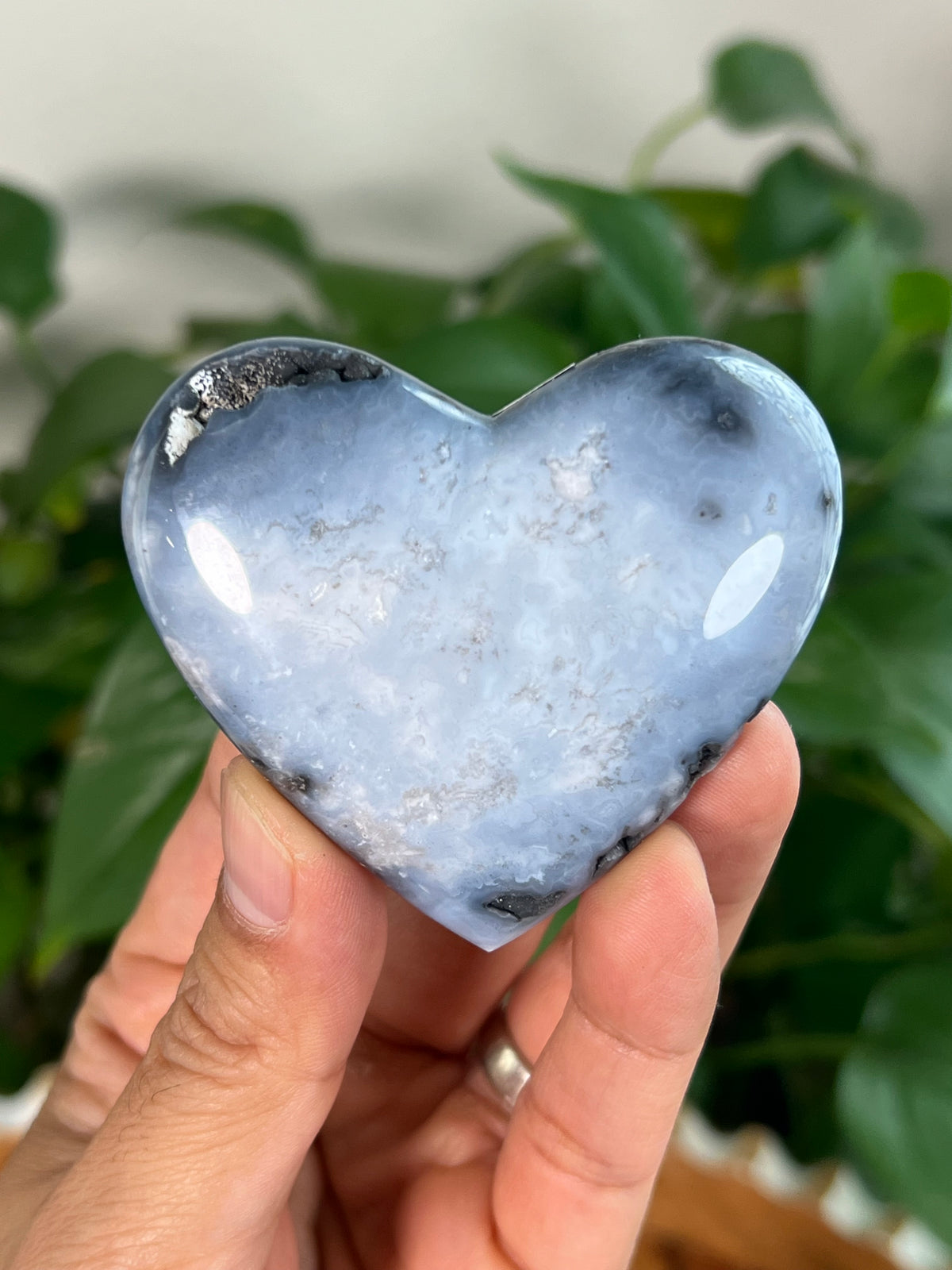 Blue Plume Agate Small Hearts