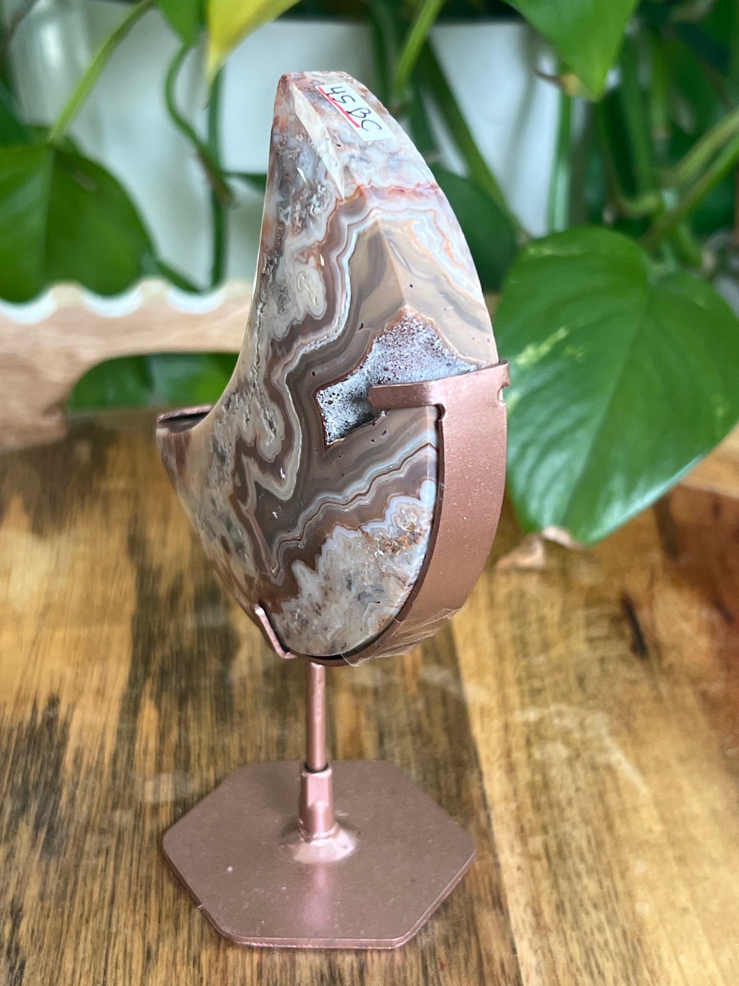 Crazy Lace Agate Moon BC
