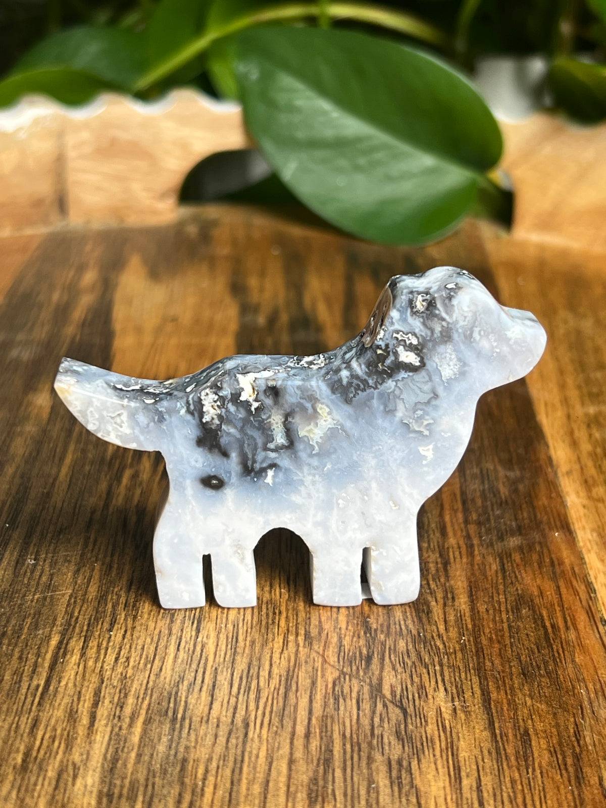Blue Plume Agate Dog: Bi