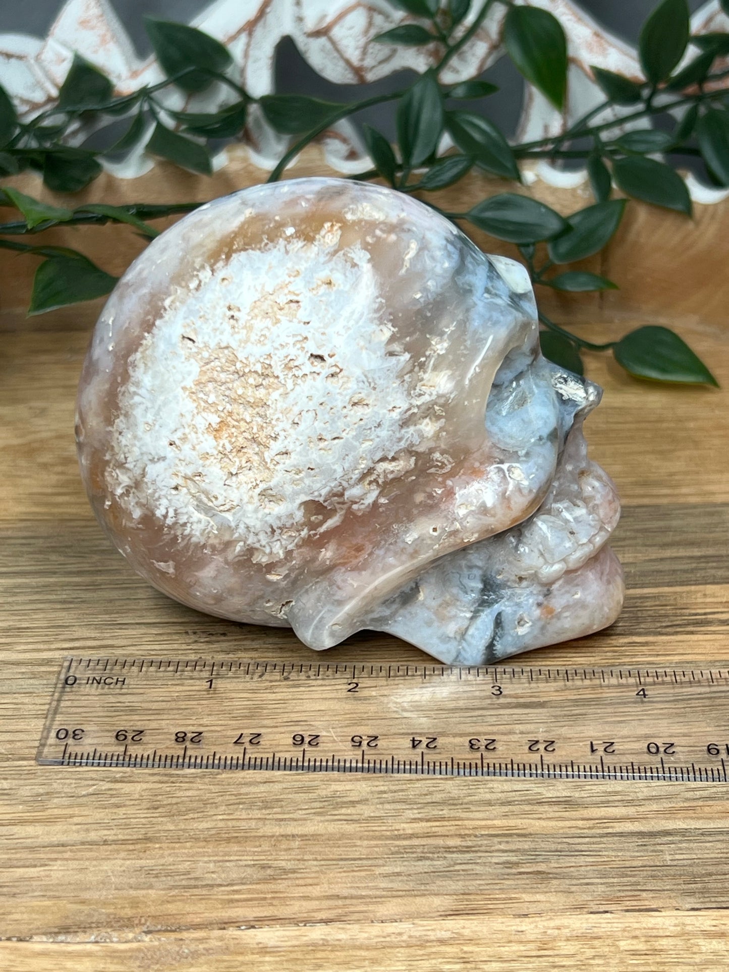 Rainbow Plume Agate Skull