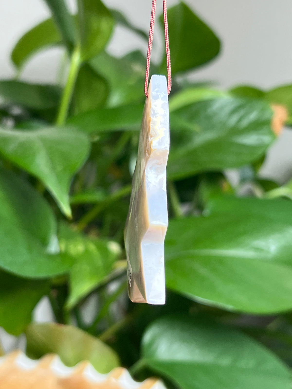 Winter Plume Agate Ornament Tree: WZ