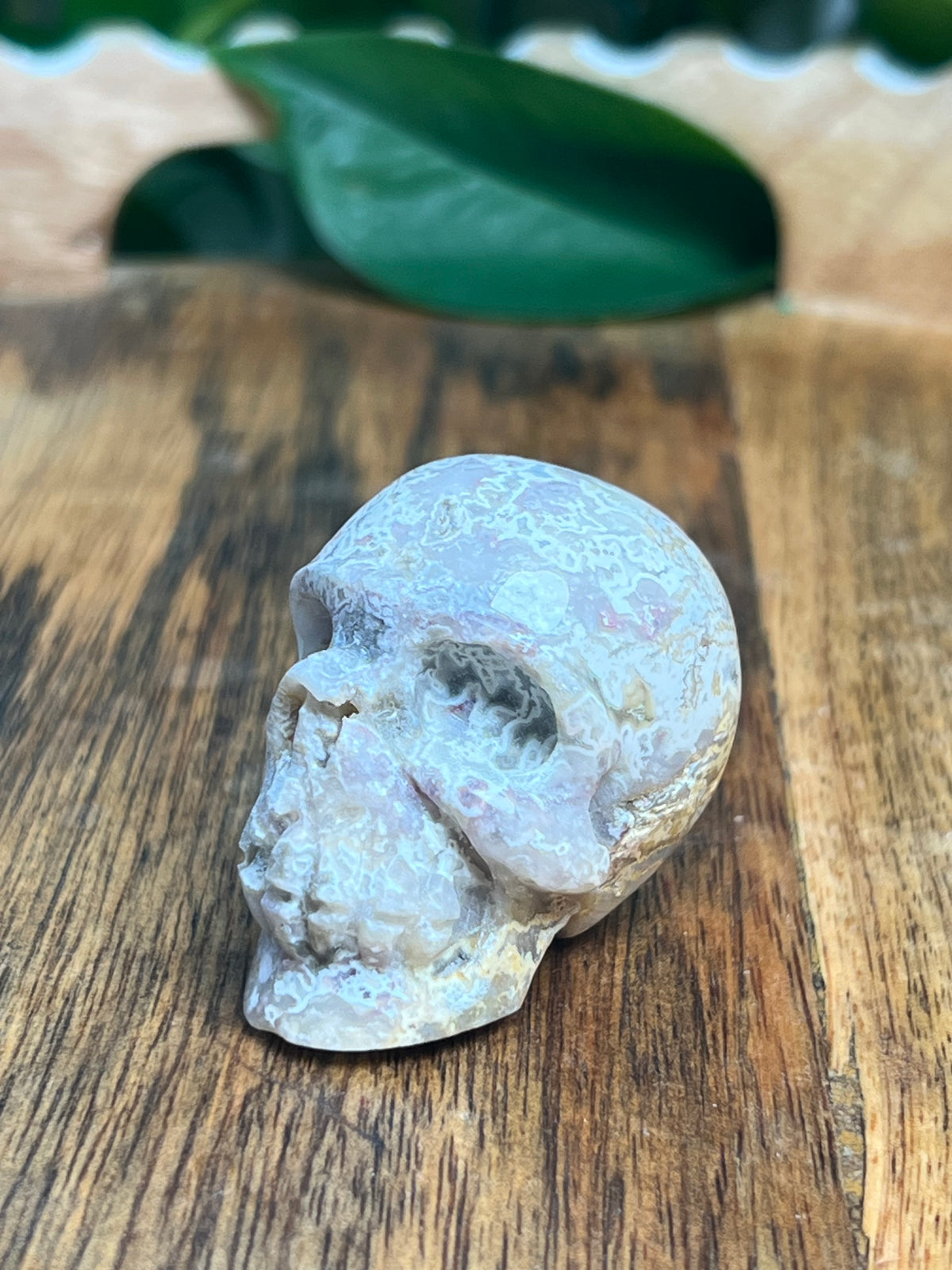 Sumatra Plume Agate Mini Skull: D