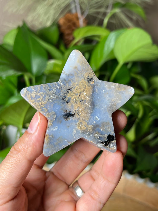 Dendritic Tiger Star