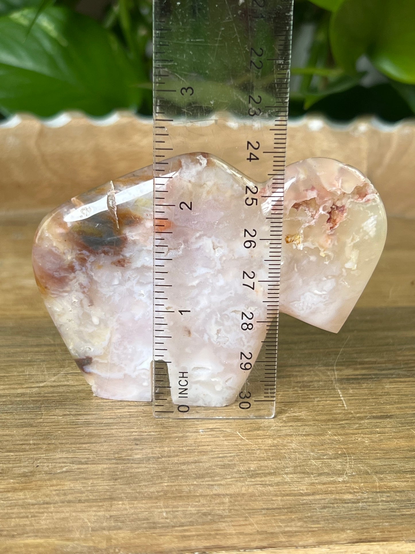 Rainbow Plume Agate Buffalo