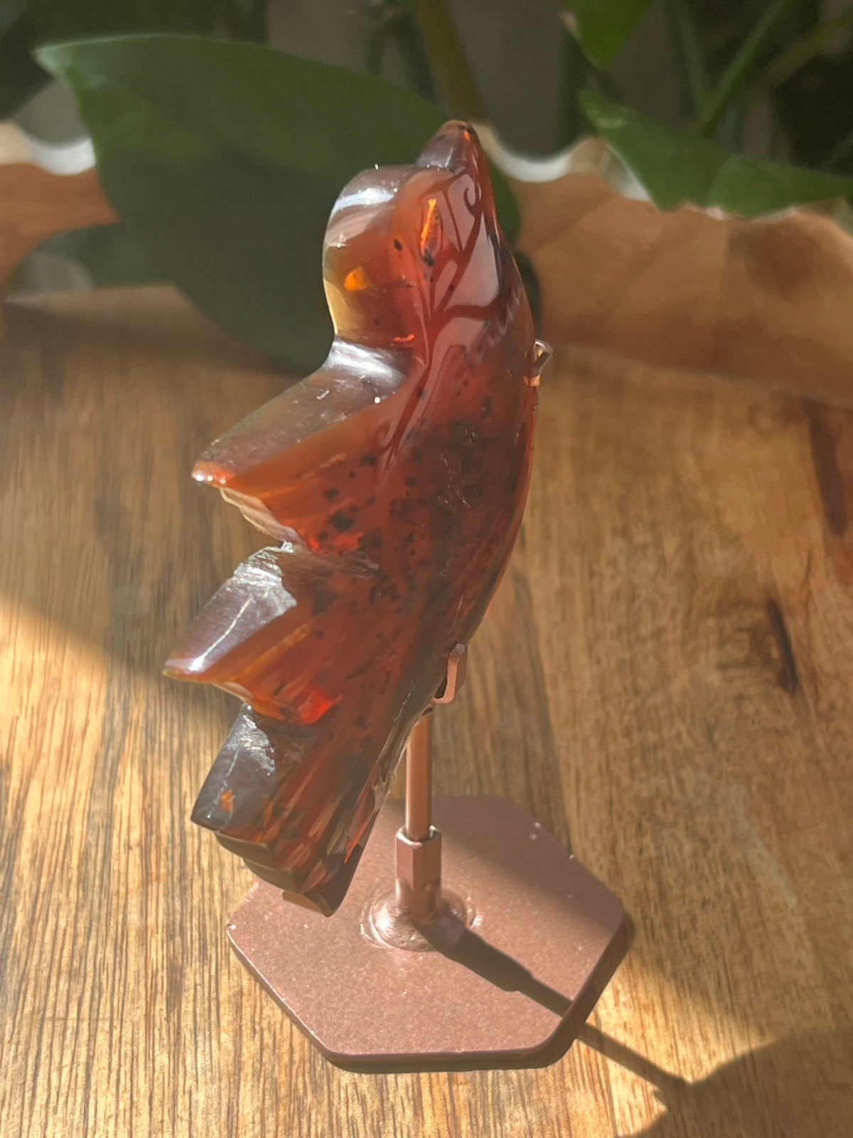 Blue Amber Bird: AA