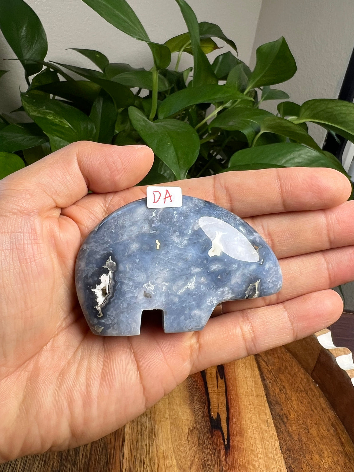 Blue Plume Agate Bears