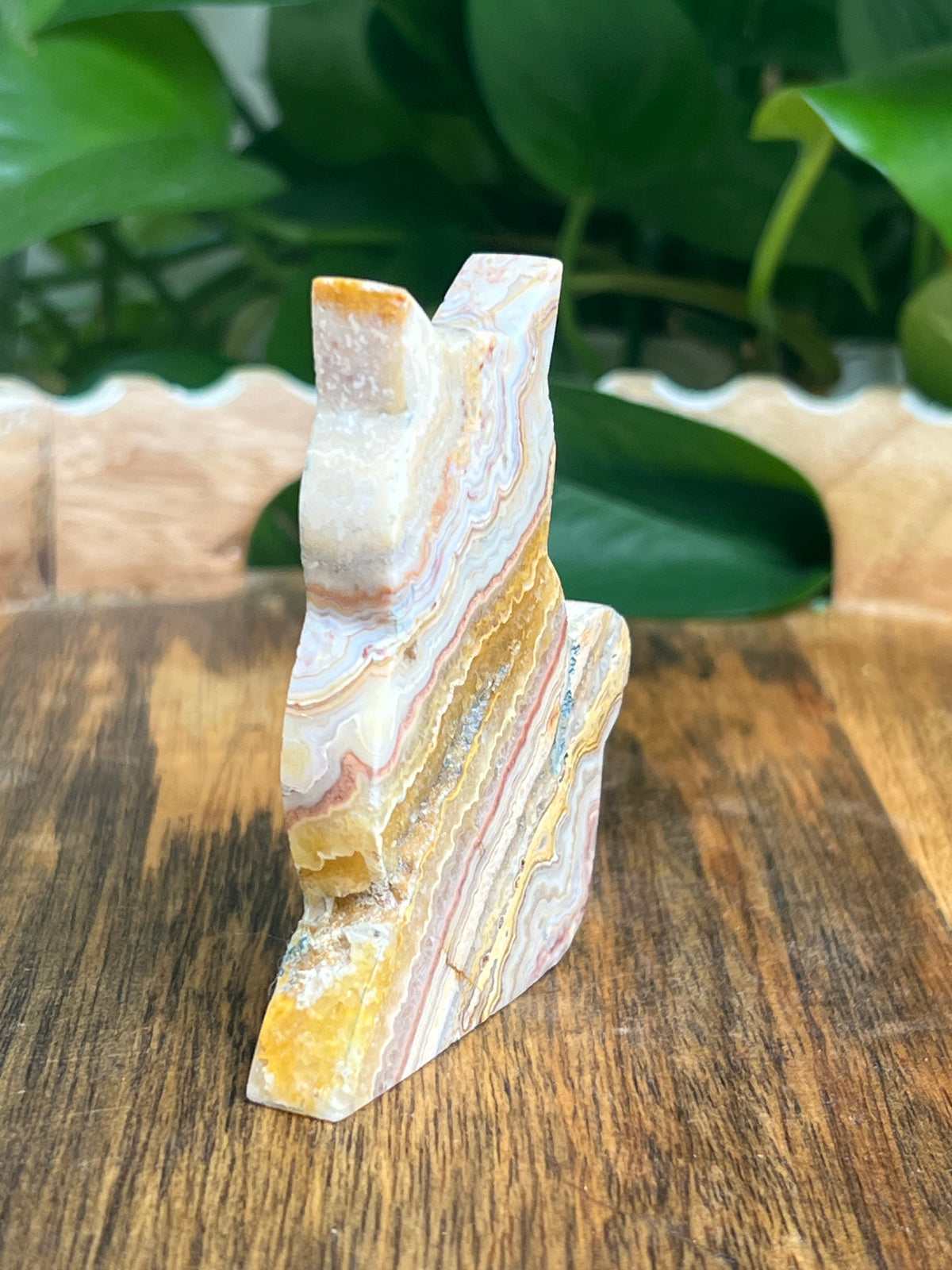 Crazy Lace Agate Cat: QN