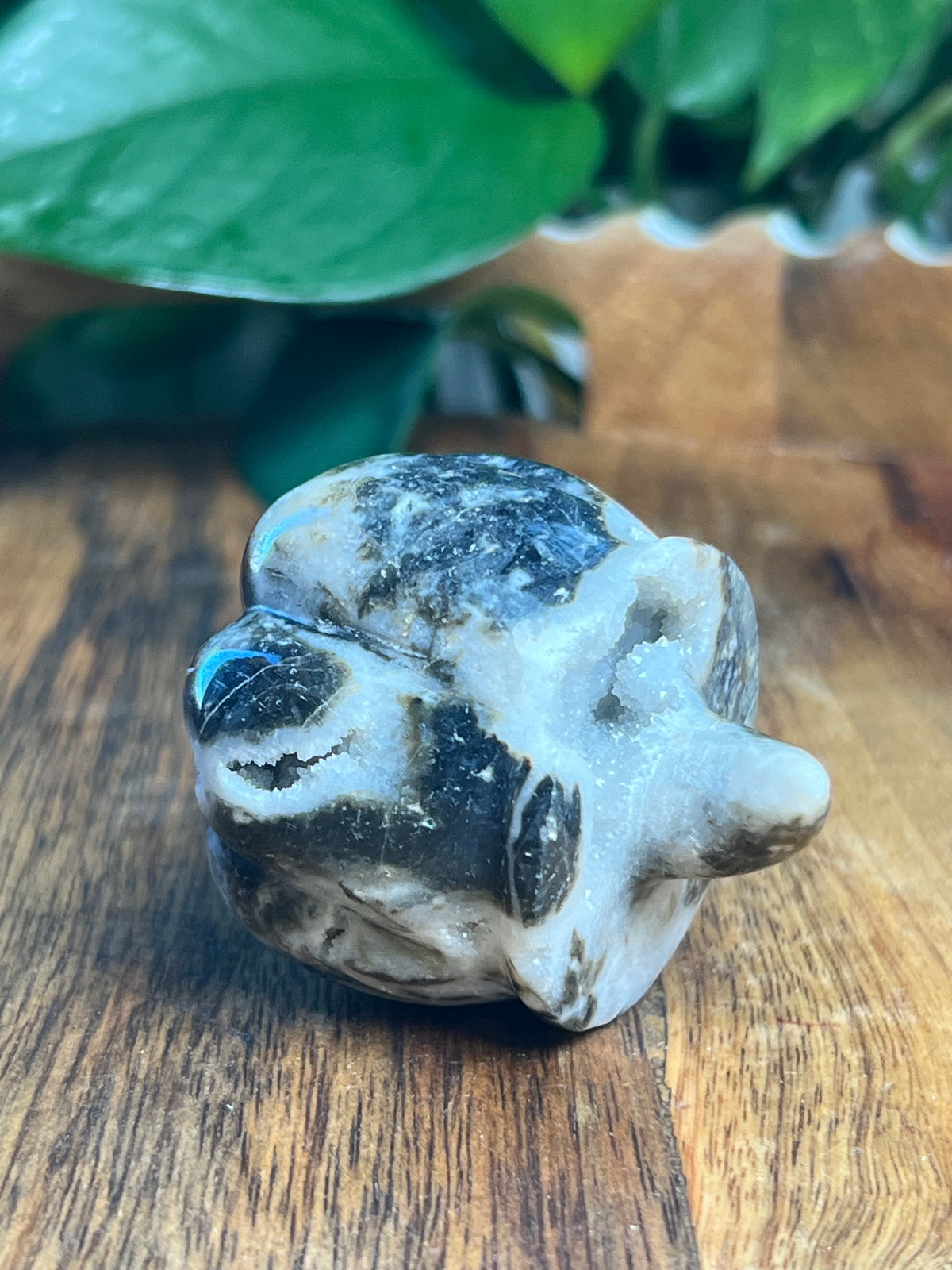Sphalerite Pumpkin: i