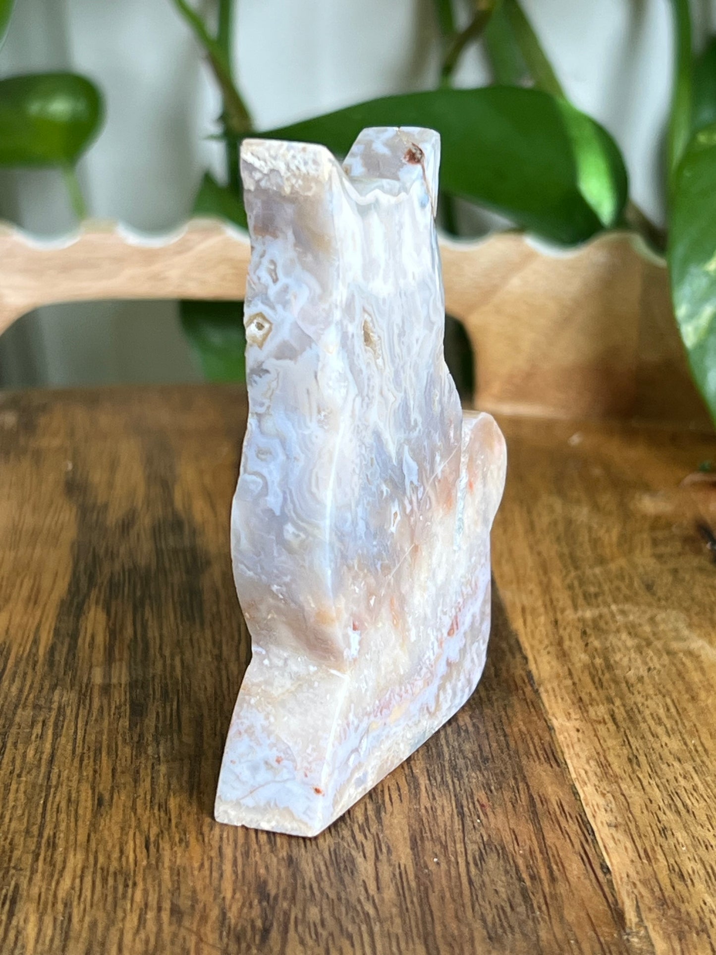 Sumatra Agate Cat EE