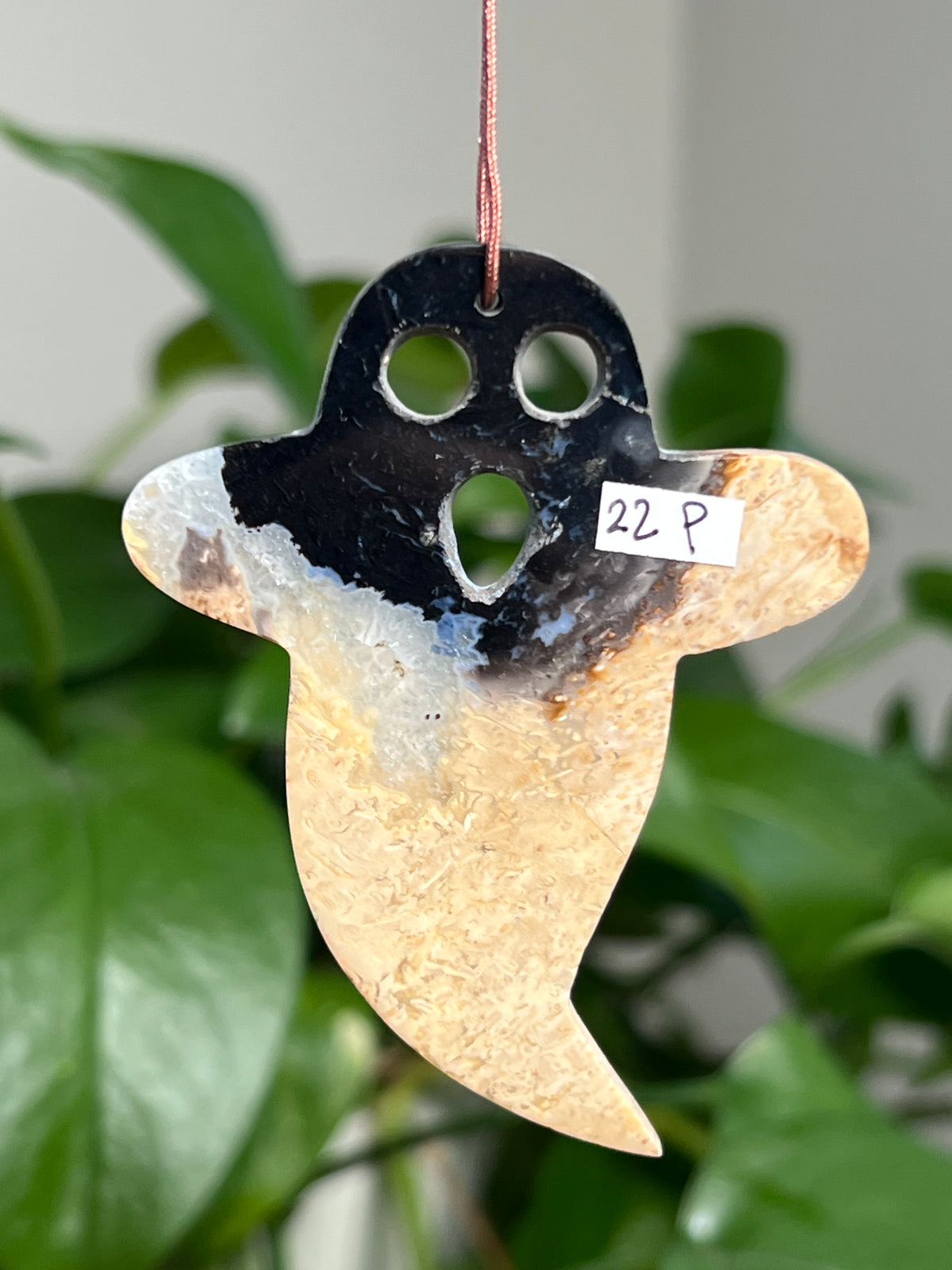 Palm Root Ghost Ornaments
