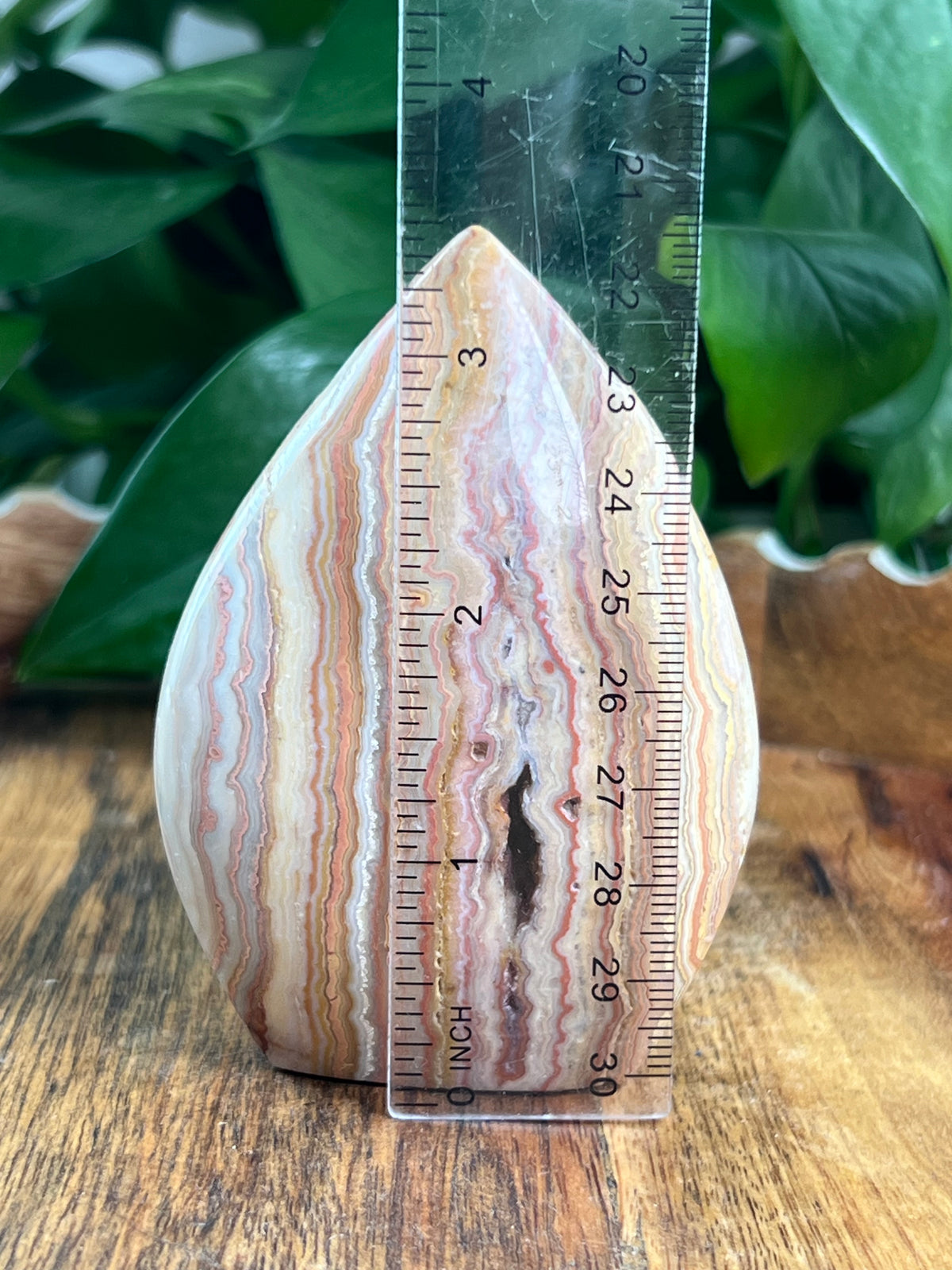 Crazy Lace Agate Flame: BB