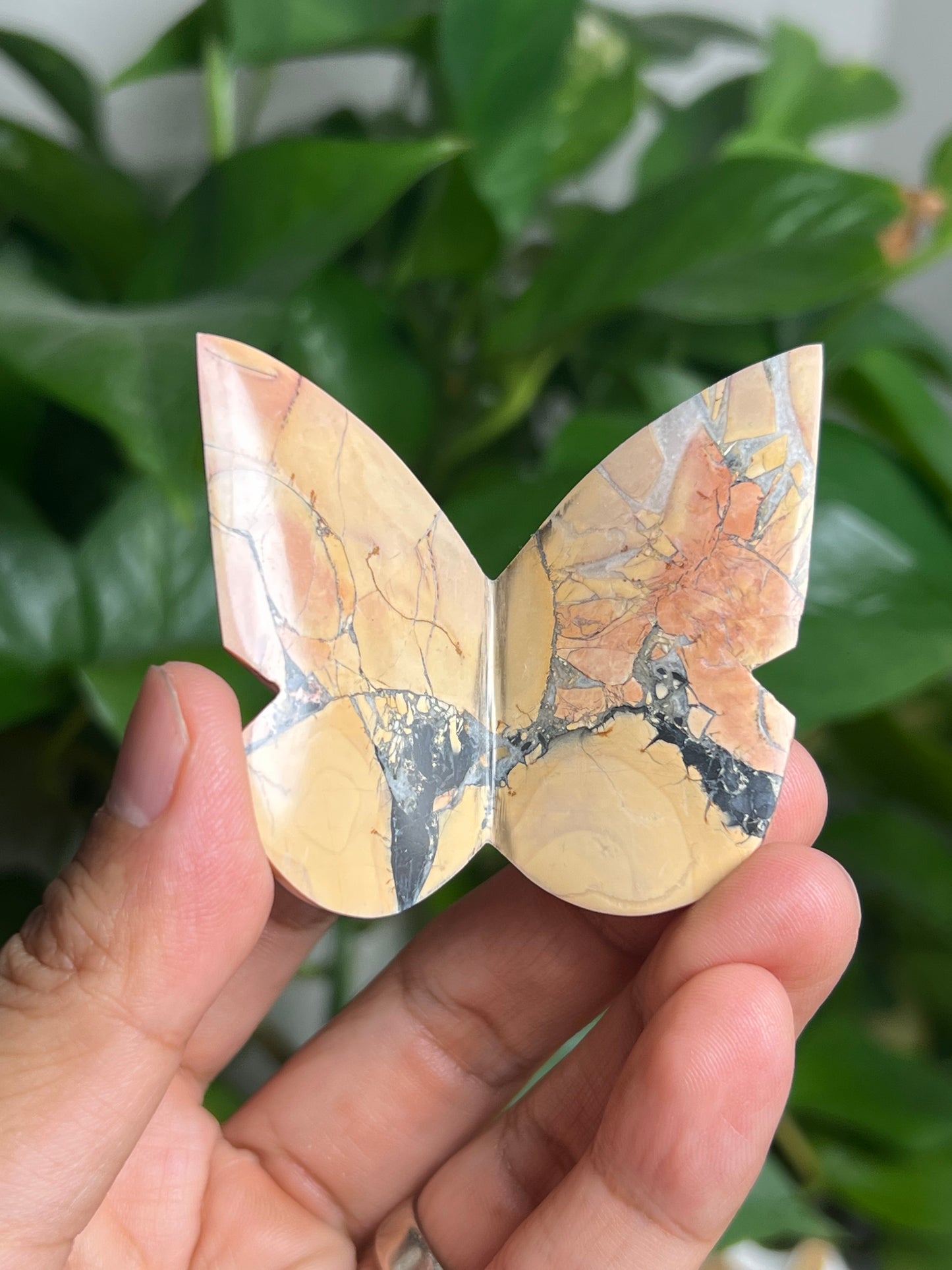 Maligano 3D Butterfly: AT