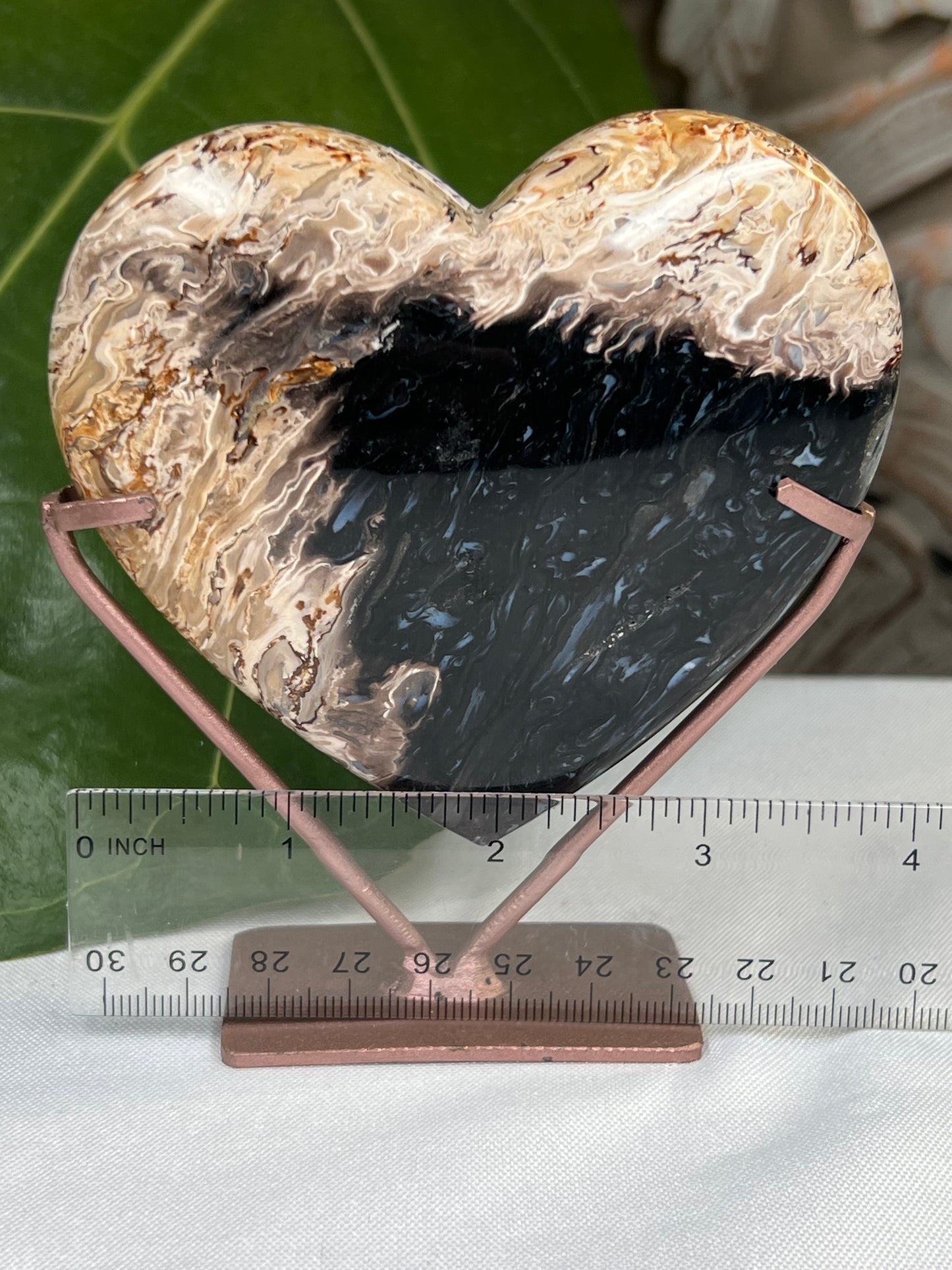 Palm Root Heart