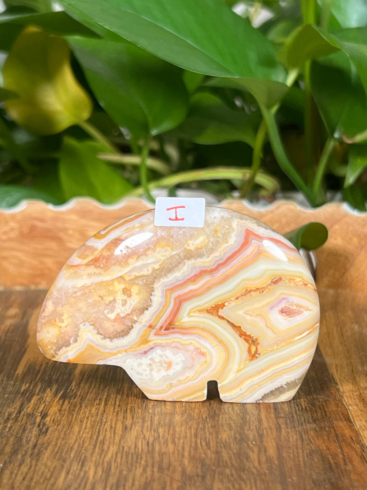 Crazy Lace Agate Bears