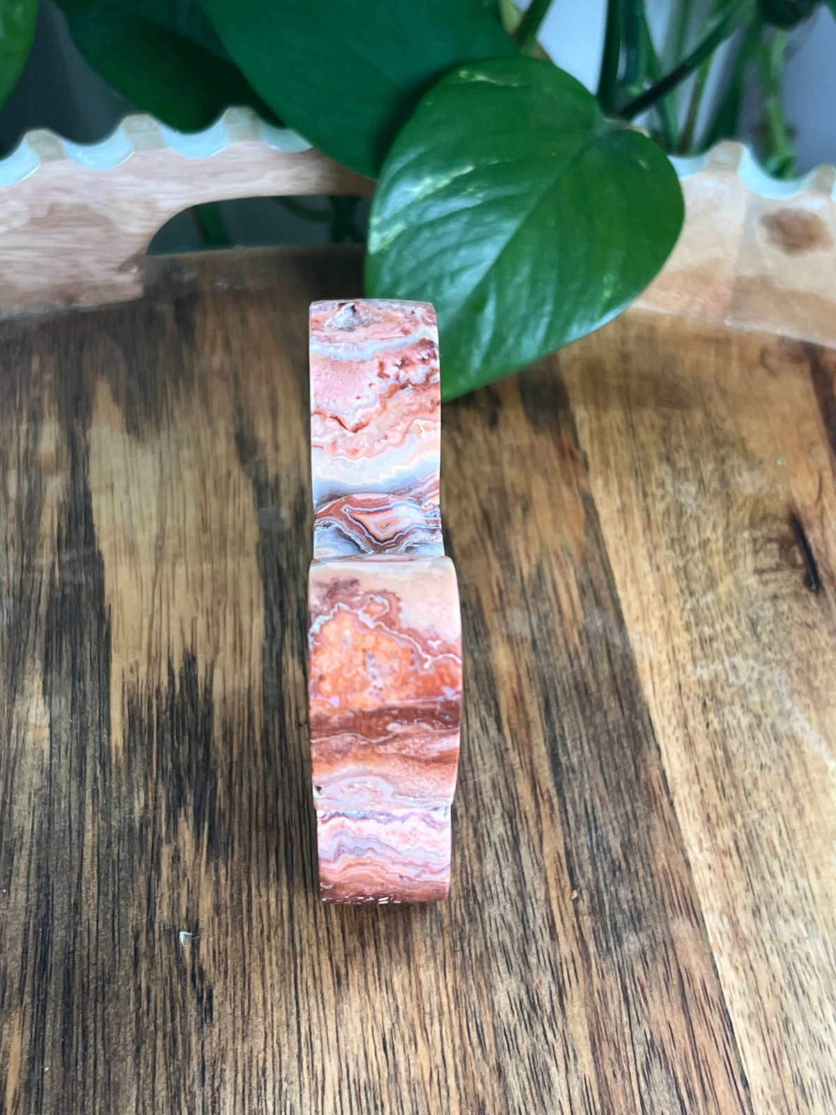 Crazy Lace Agate Butterfly: D