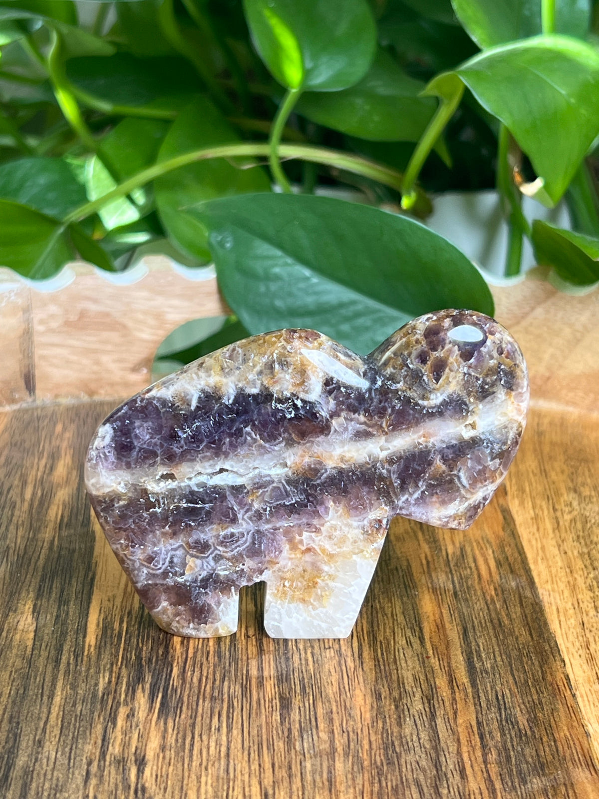 Indonesian Amethyst Buffalo: RL