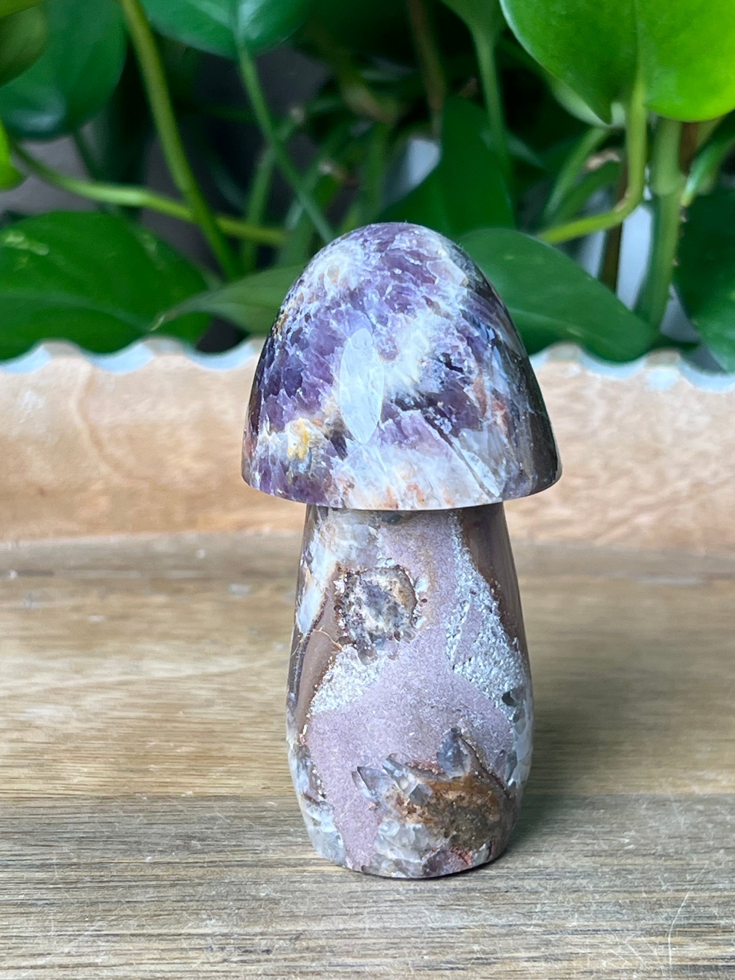Indonesia Amethyst Mushroom: TE