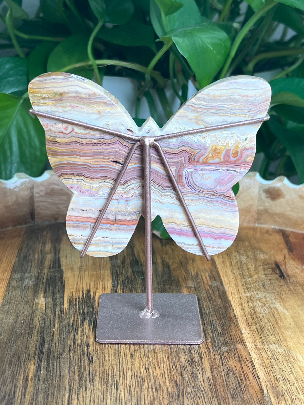 Crazy Lace Agate Butterfly: L