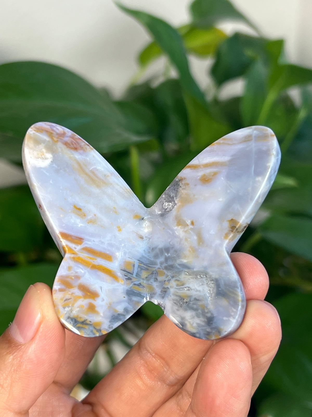 Milky River Jasper 3D Butterflies