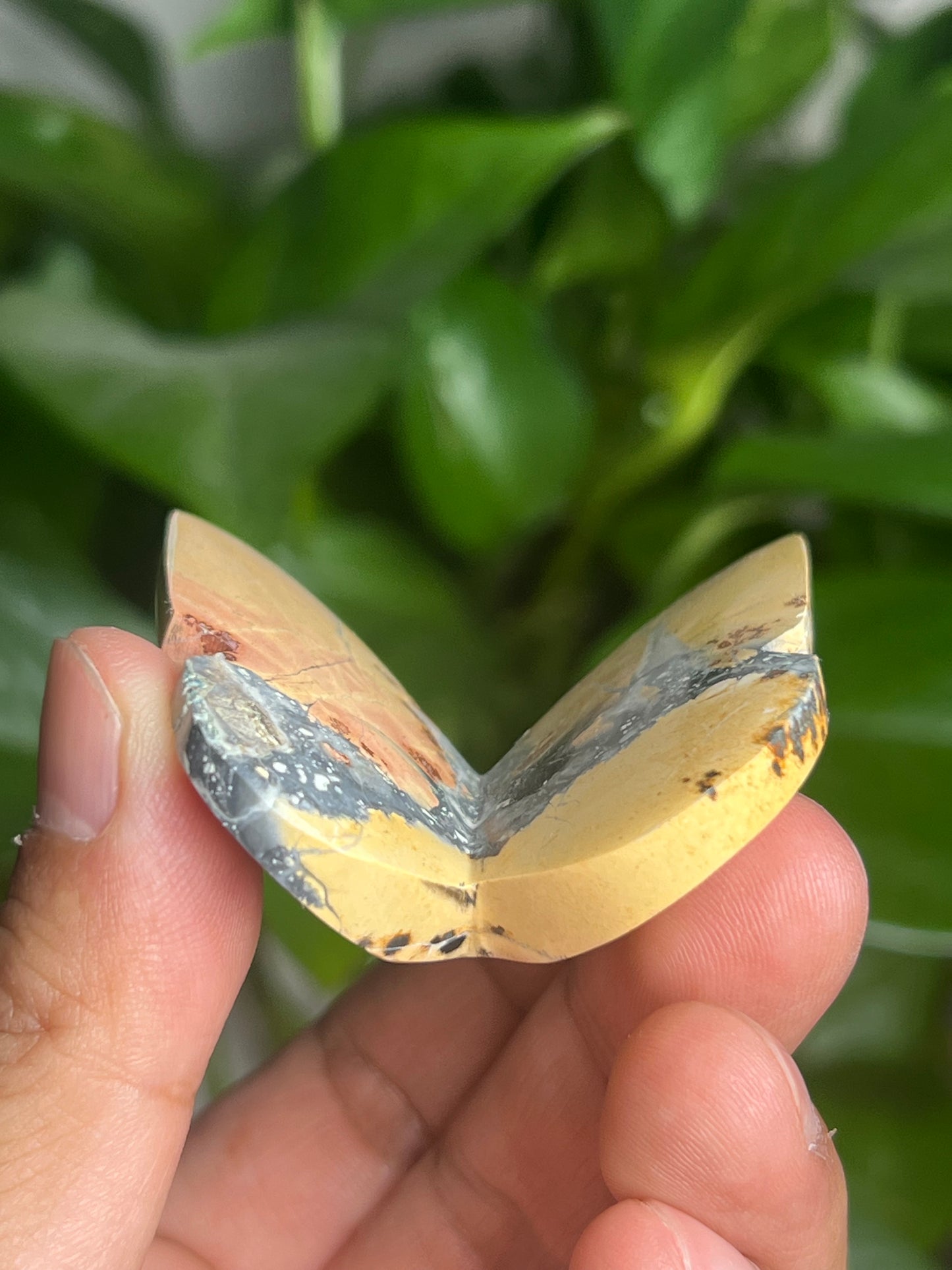 Maligano 3D Butterfly: AN