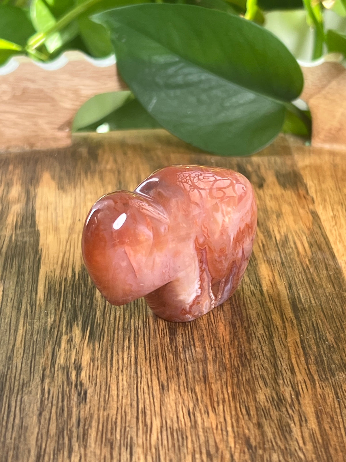 Carnelian Mini Buffalo: BC