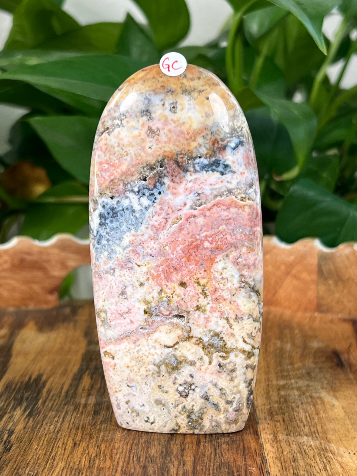 Sea Jasper Freeforms