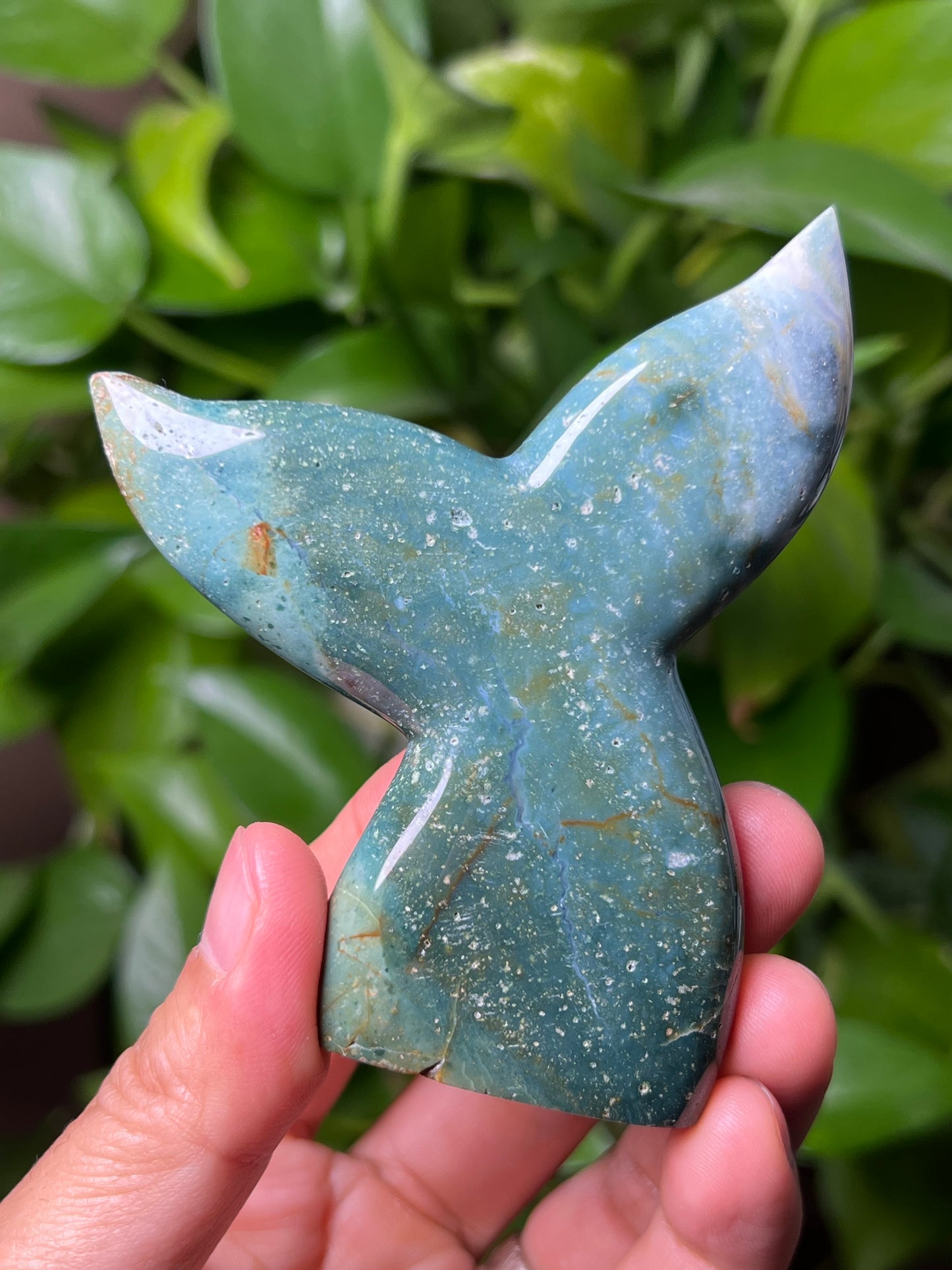 Blue Green Jasper Tail