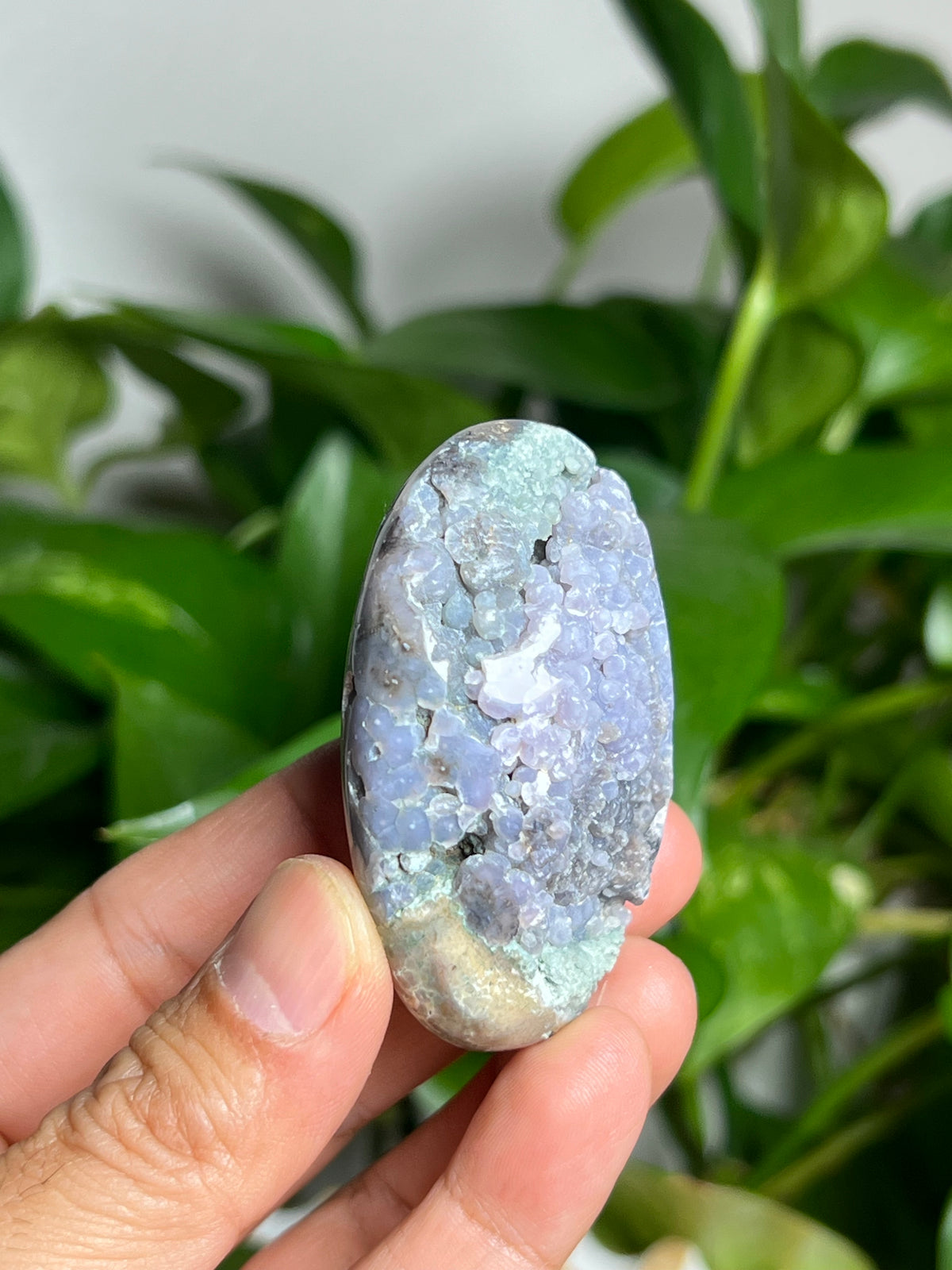Grape Agate Palmstone: NA