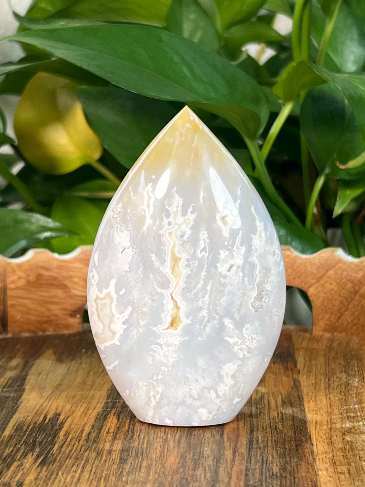 Winter Plume Agate Flames